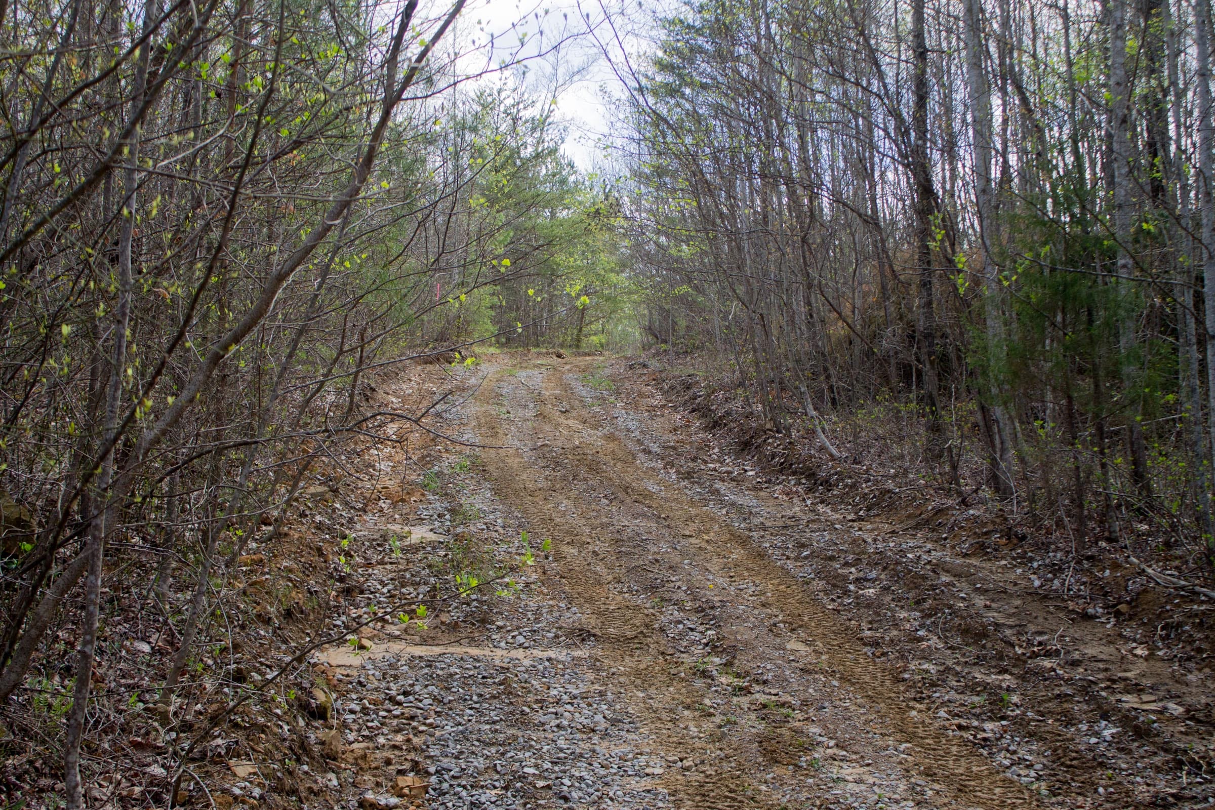 Hidden Hills Tract 43 photo 2