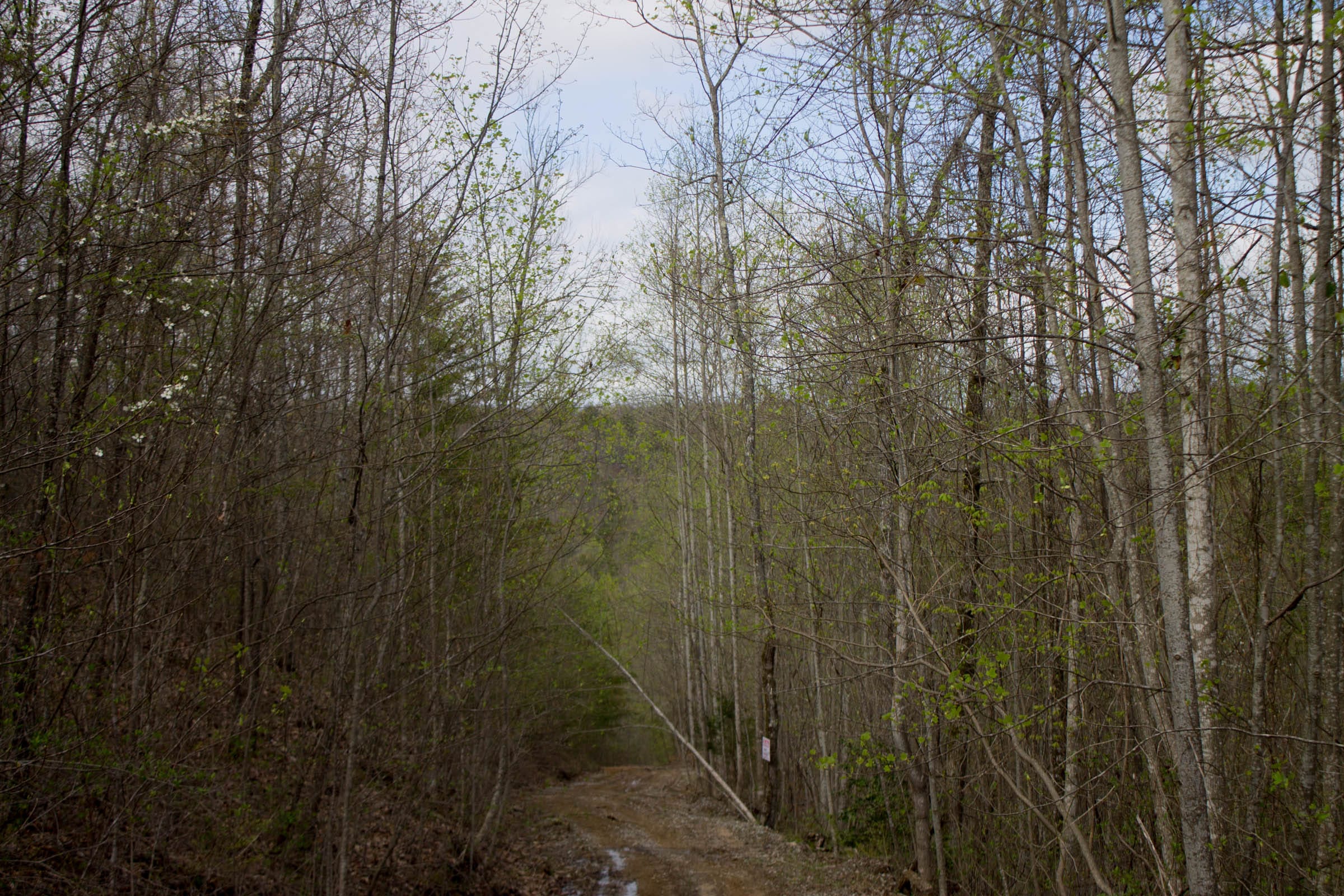 Hidden Hills Tract 43 photo 14