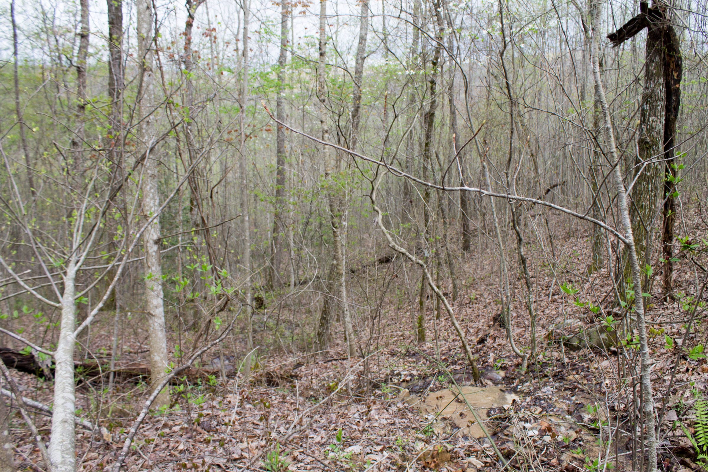 Hidden Hills Tract 43 photo 15