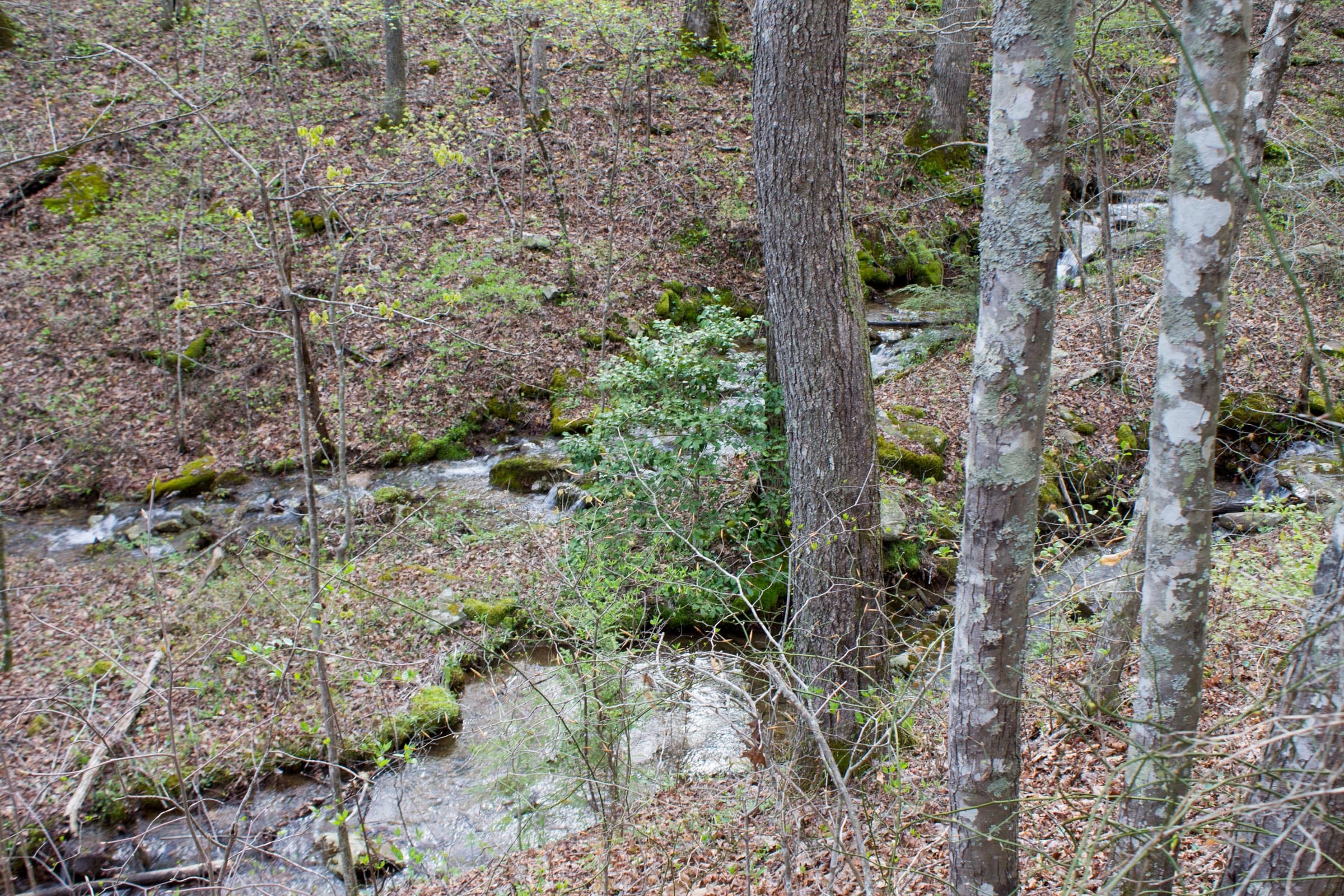 Hidden Hills Tract 43 photo 18