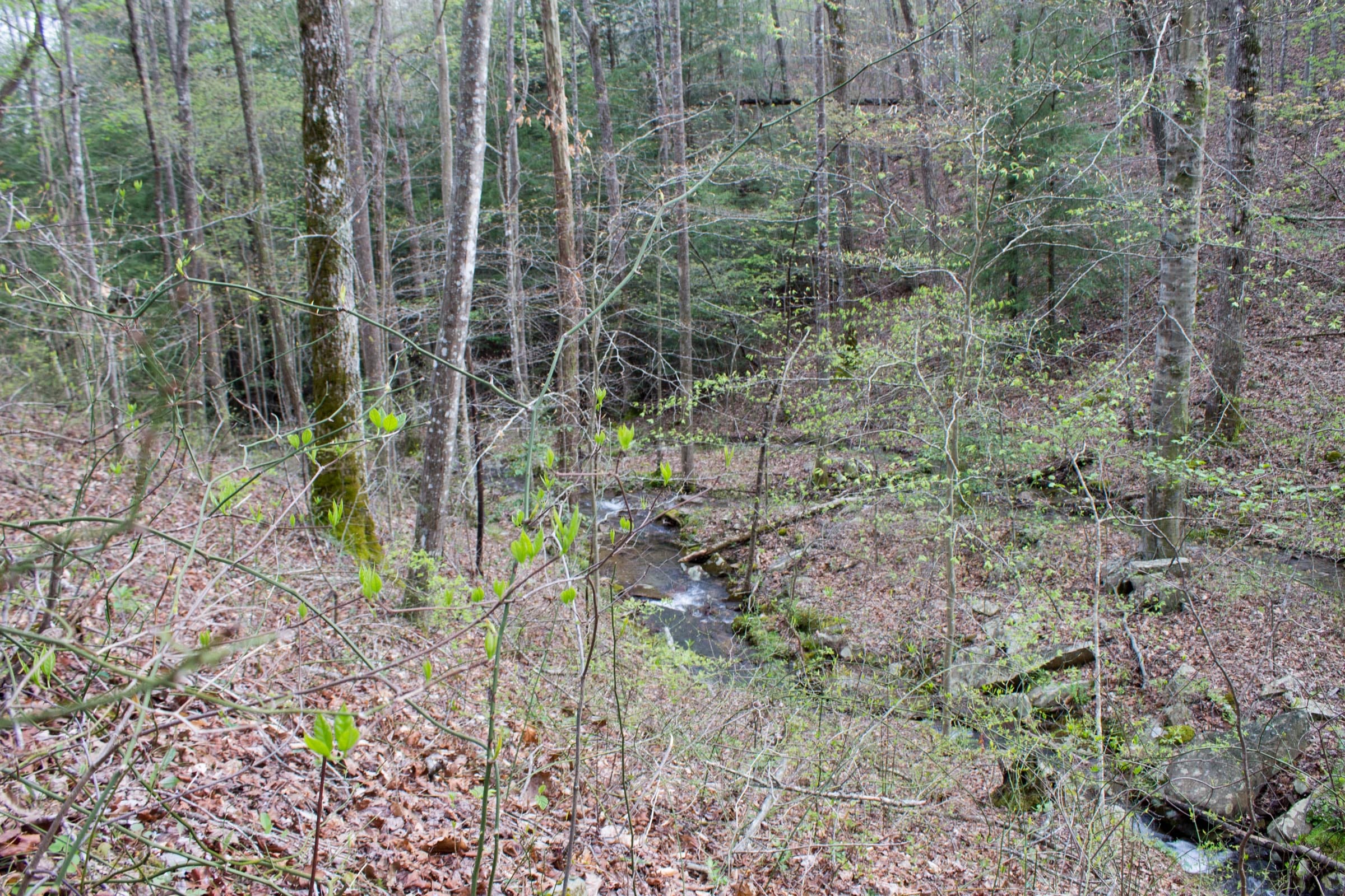 Hidden Hills Tract 43 photo 19