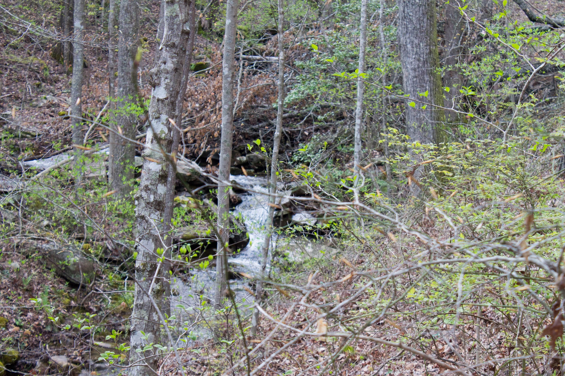 Hidden Hills Tract 43 photo 22