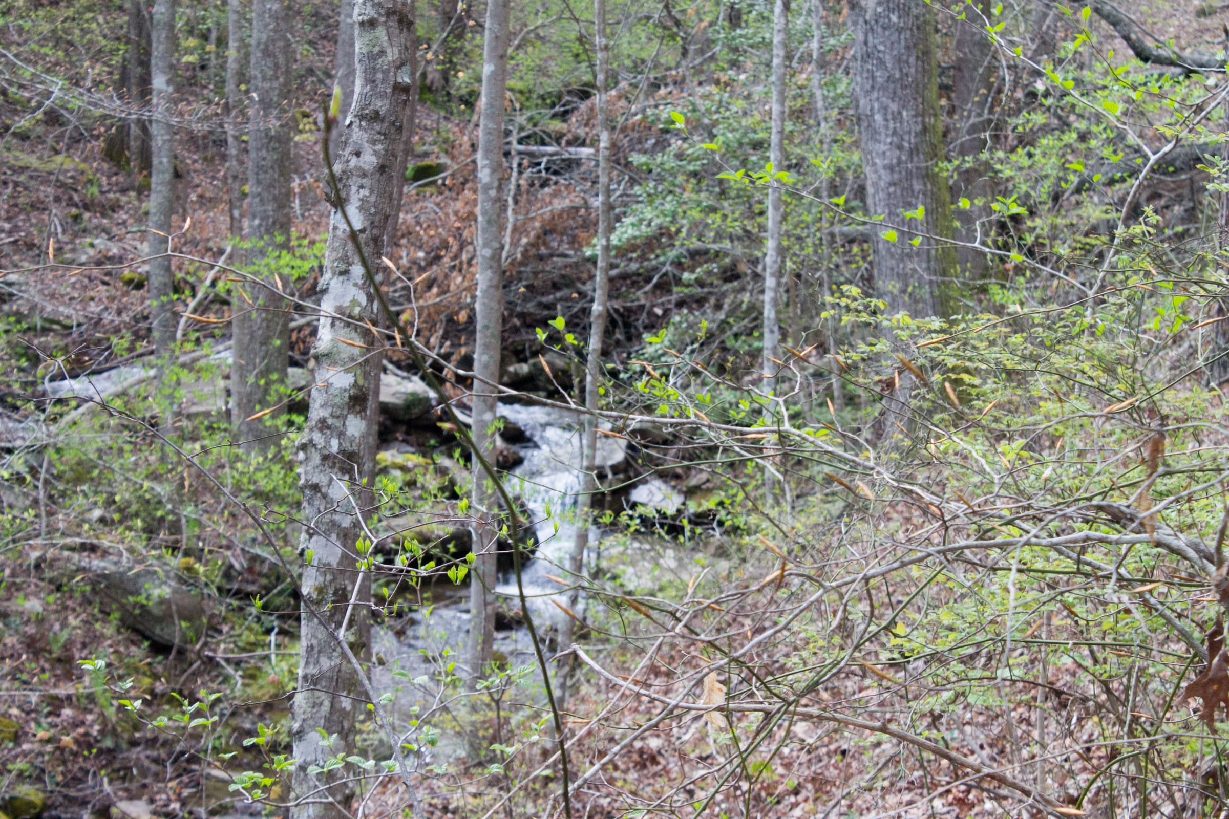 Hidden Hills Tract 43 photo 23