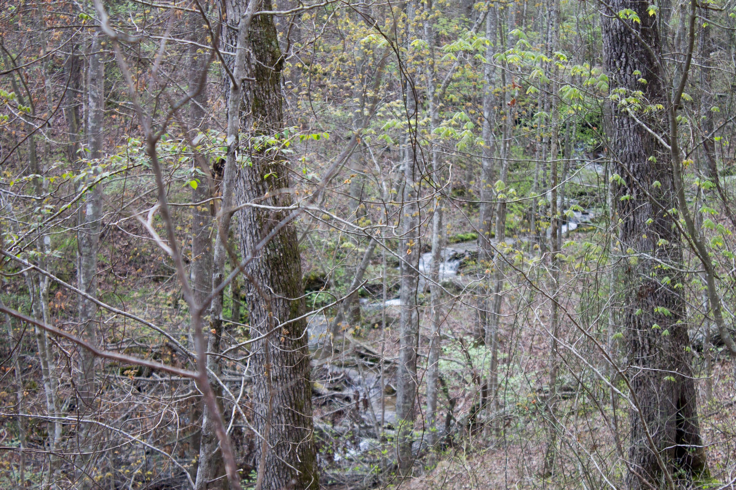 Hidden Hills Tract 43 photo 26