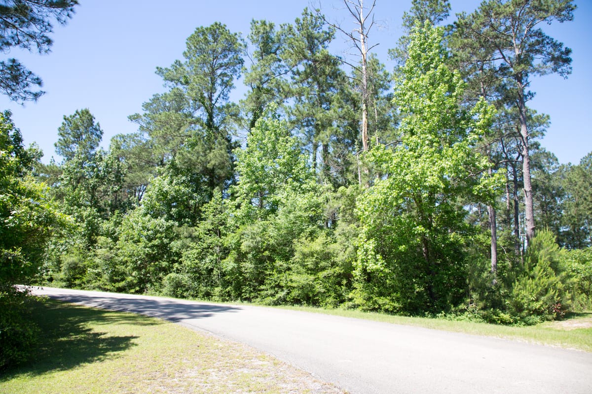 Rayburn Country Tract 19 photo 8