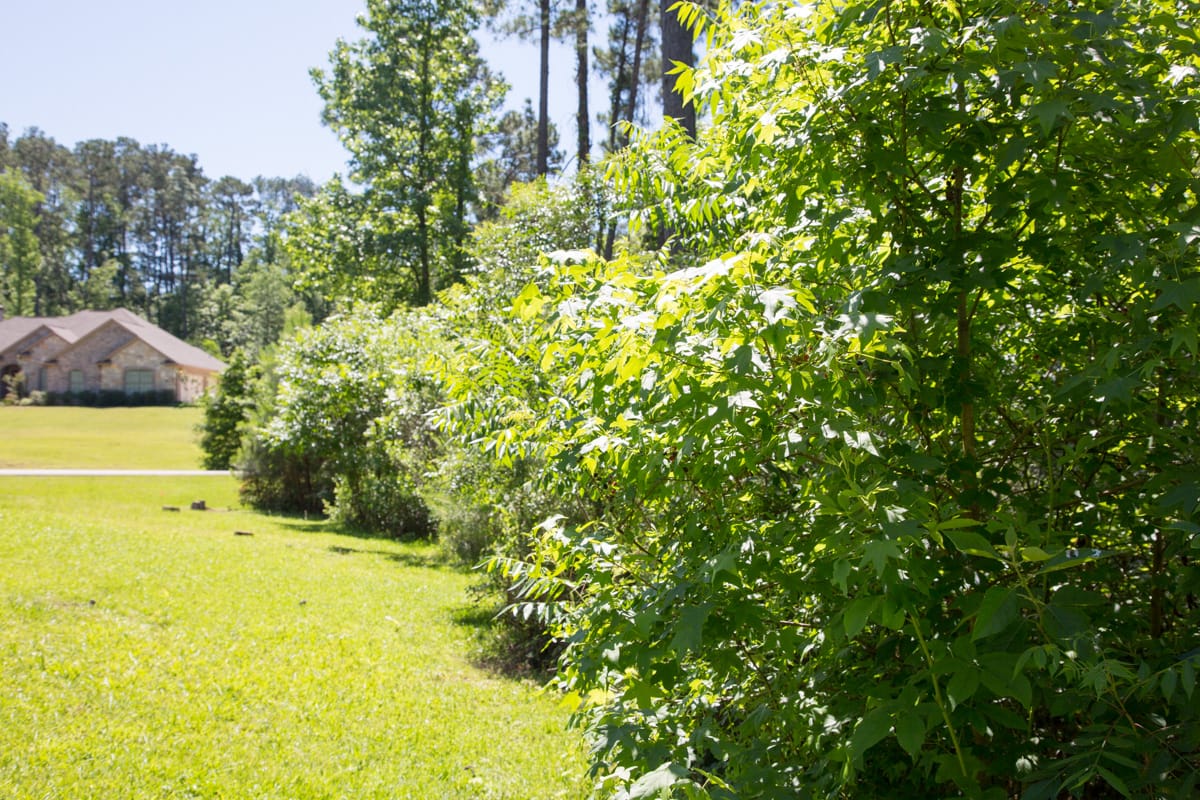 Rayburn Country Tract 19 photo 11