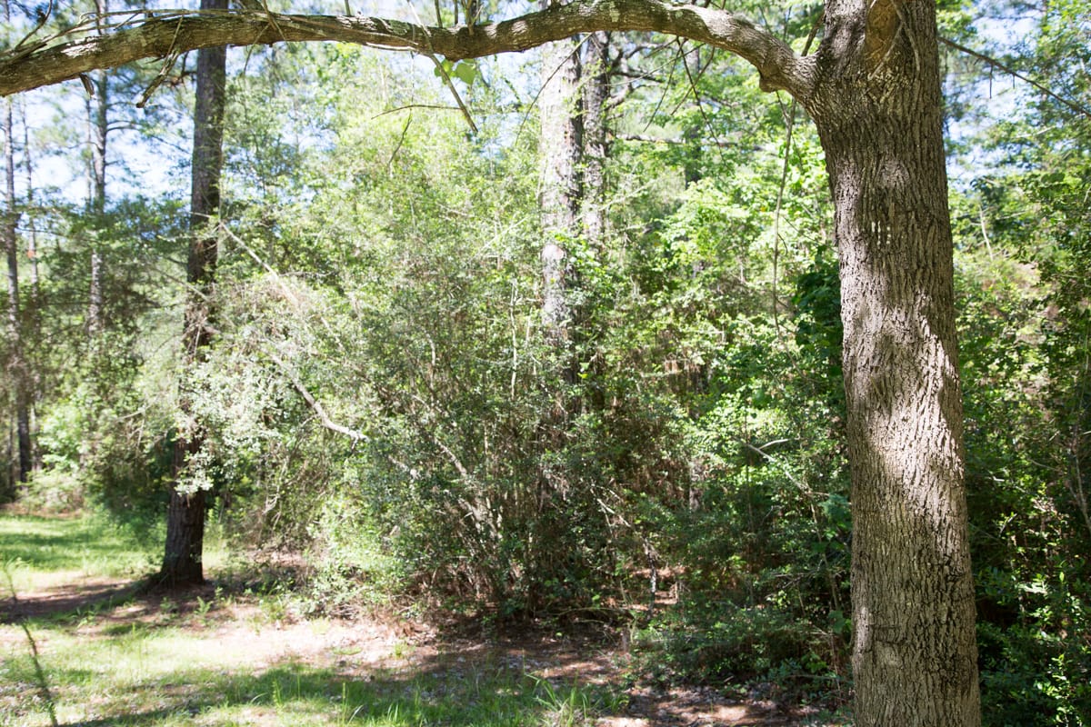 Rayburn Country Tract 19 photo 12