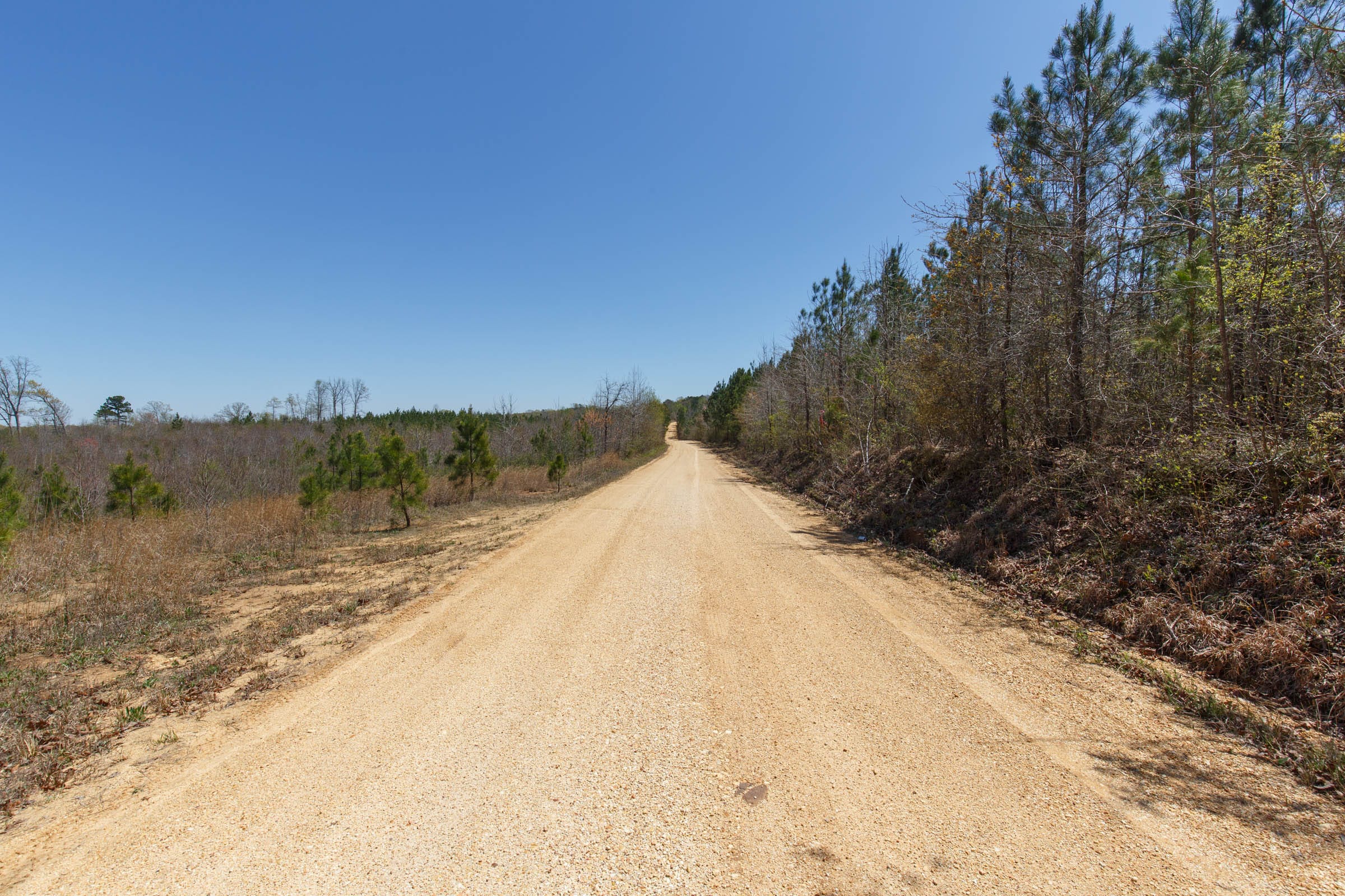 Southern Hills Tract 3 photo 2