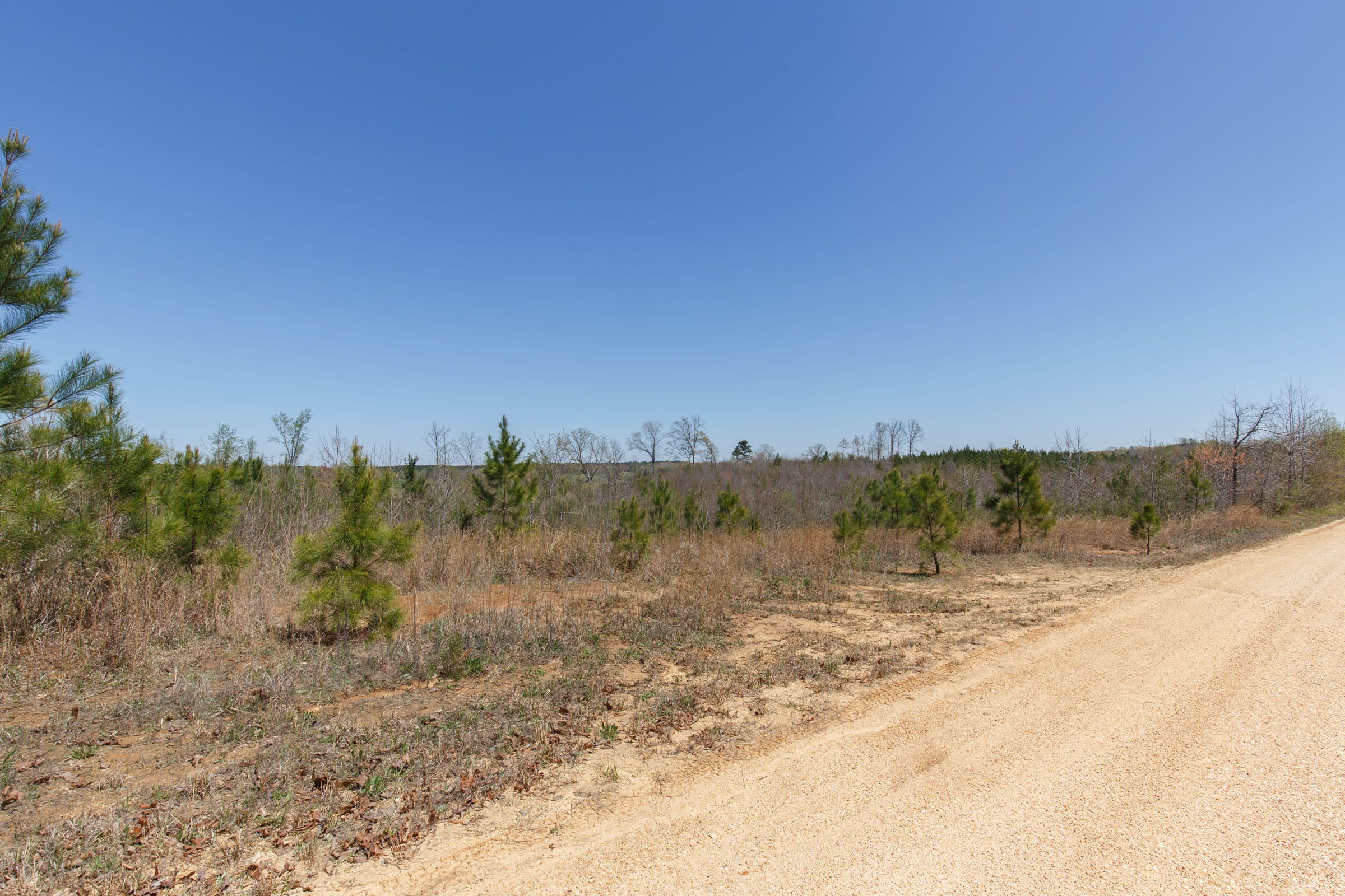 Southern Hills Tract 3 photo 6