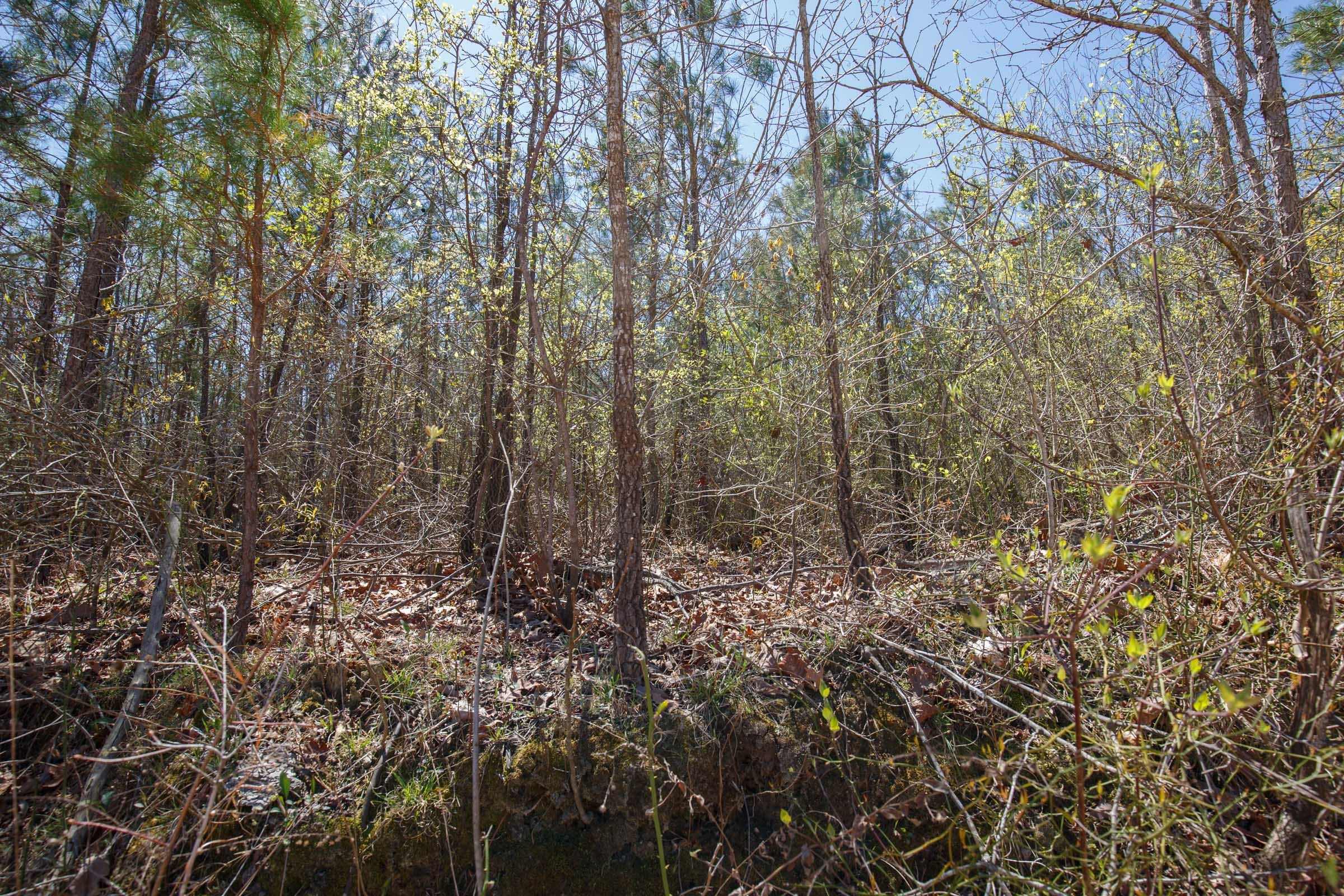 Southern Hills Tract 3 photo 3