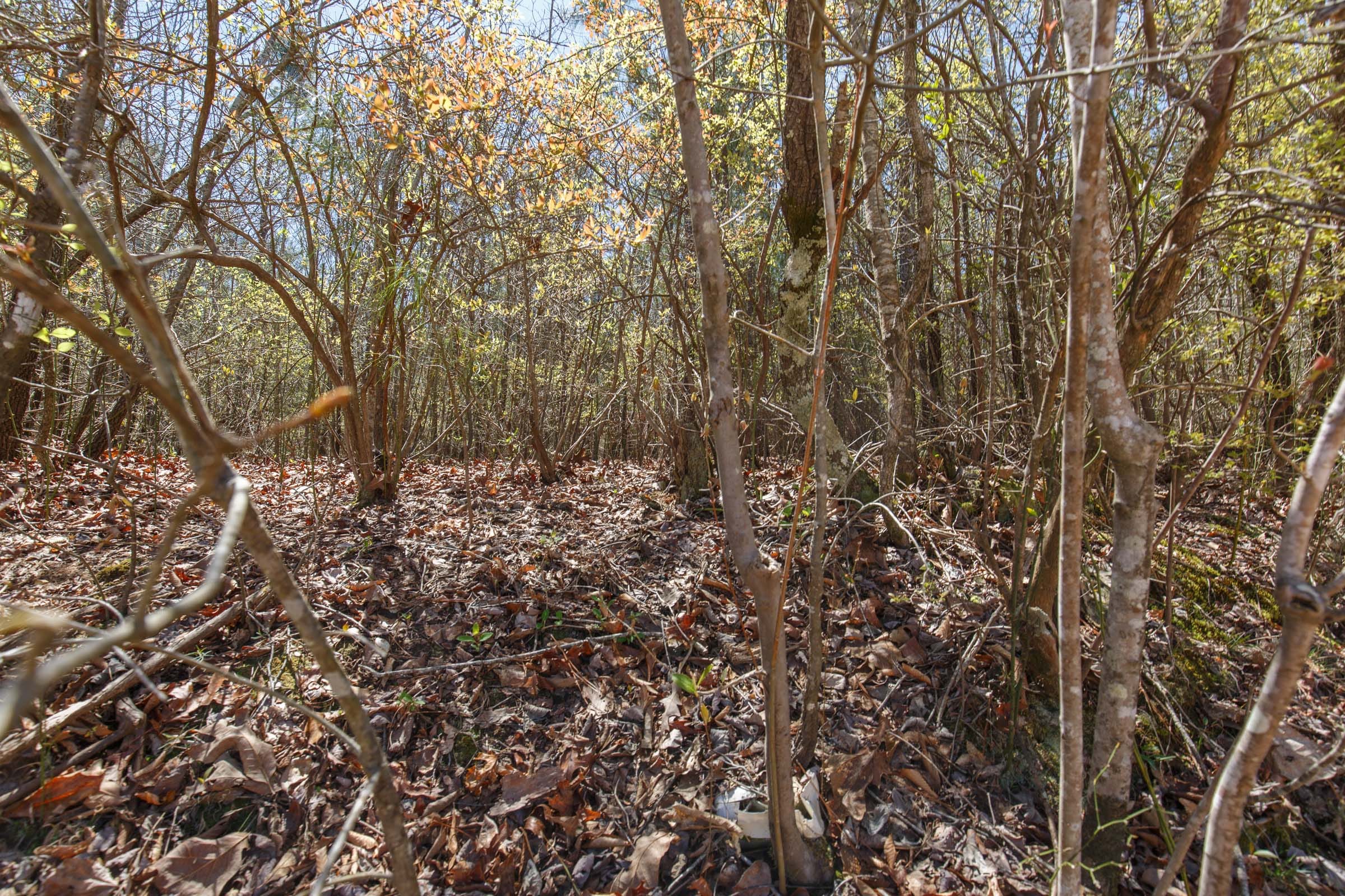 Southern Hills Tract 3 photo 5