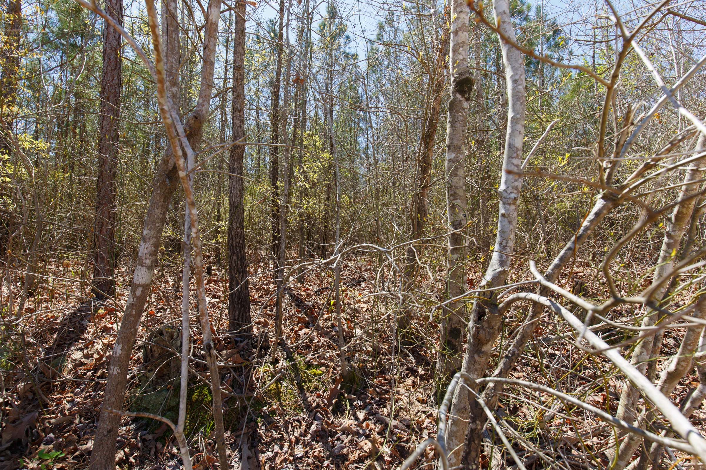 Southern Hills Tract 3 photo 7