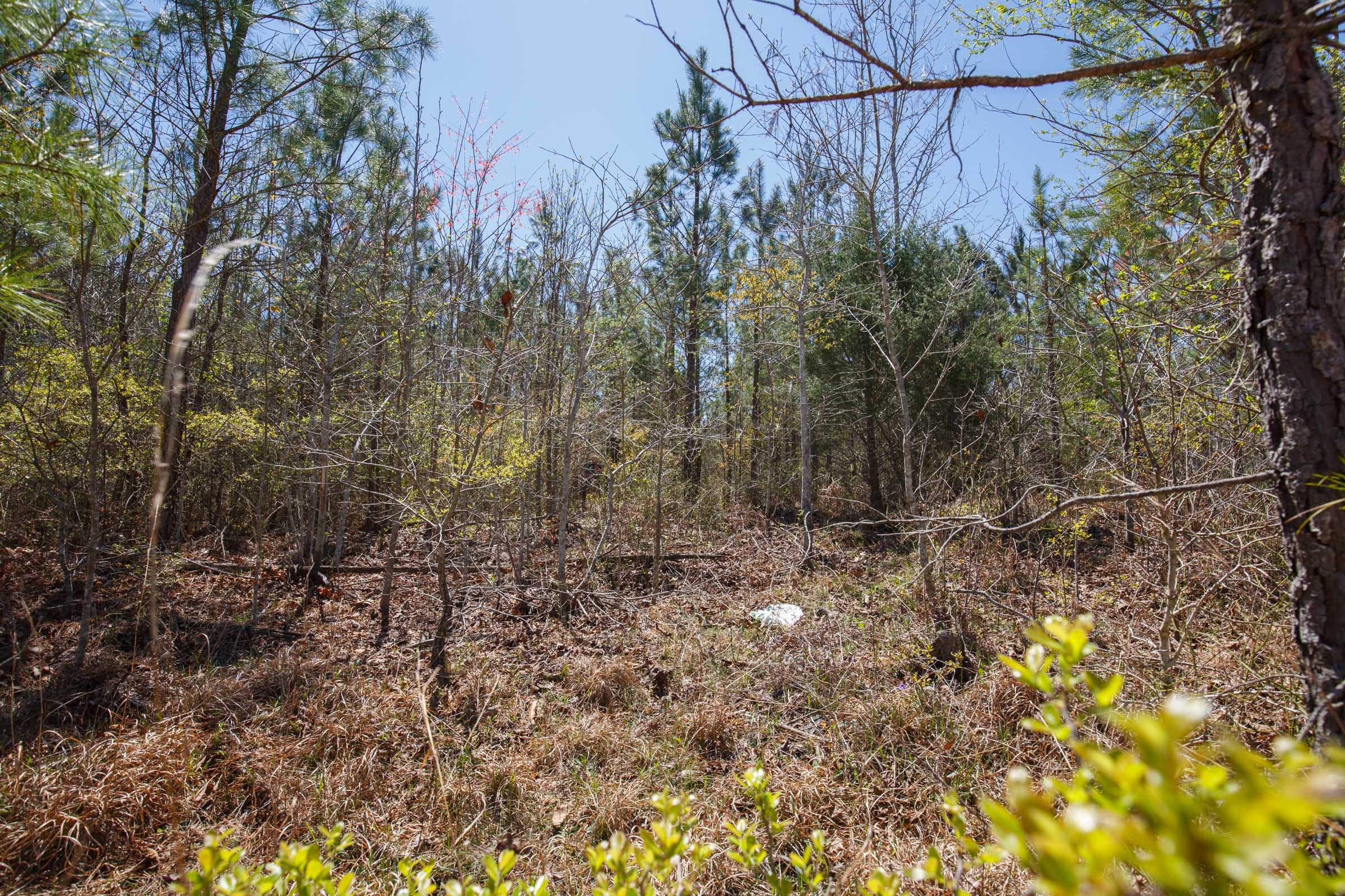 Southern Hills Tract 3 photo 8