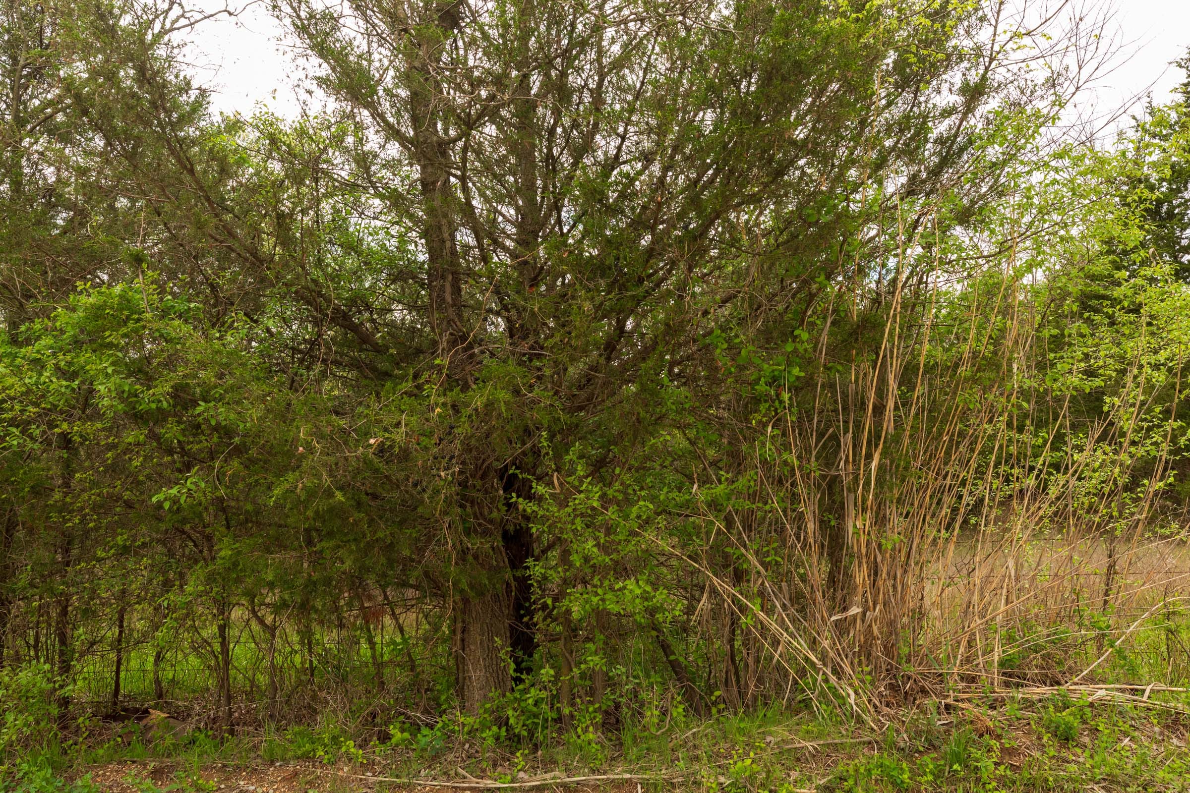 Moonrise Meadows Tract 24 photo 7
