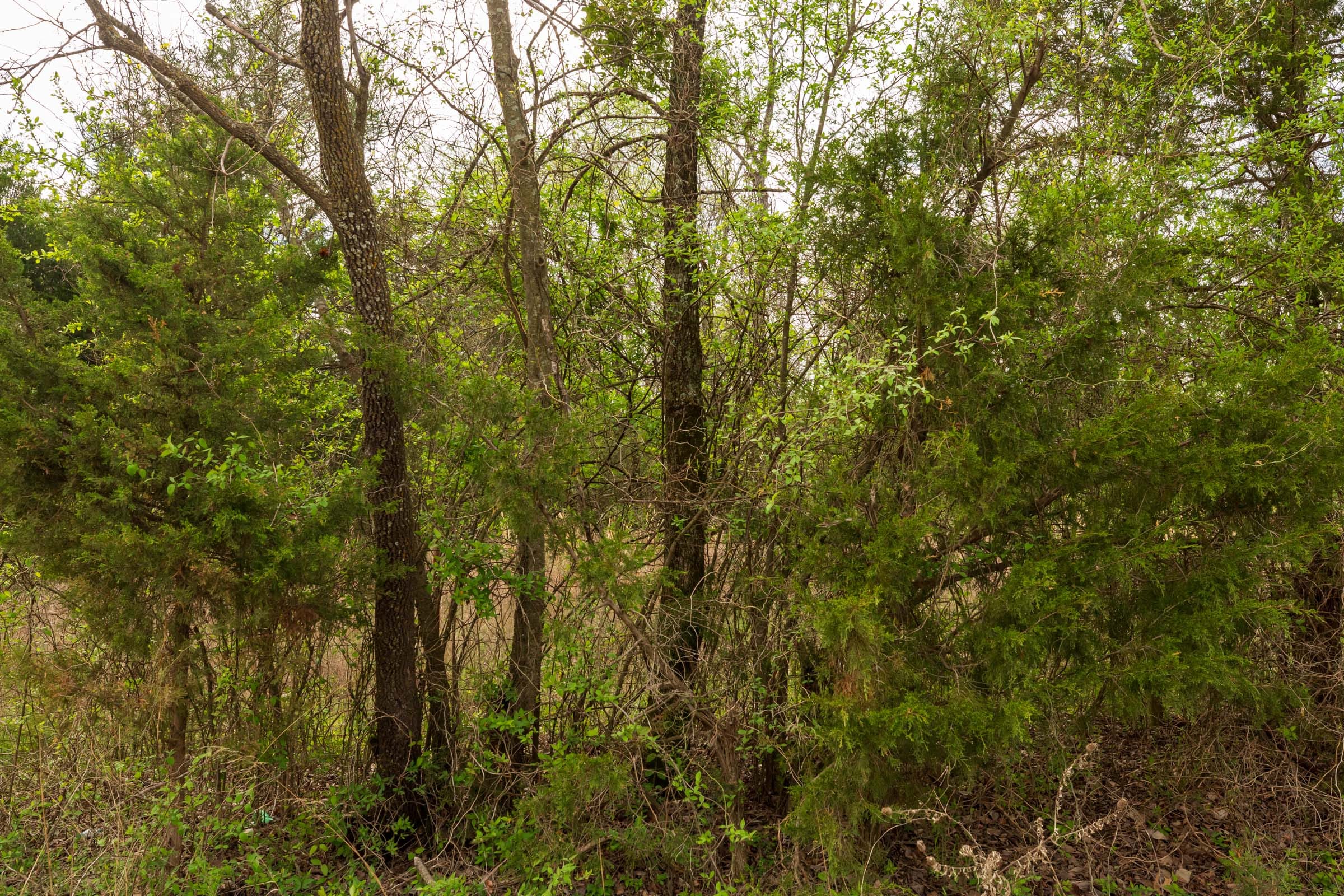 Moonrise Meadows Tract 24 photo 13