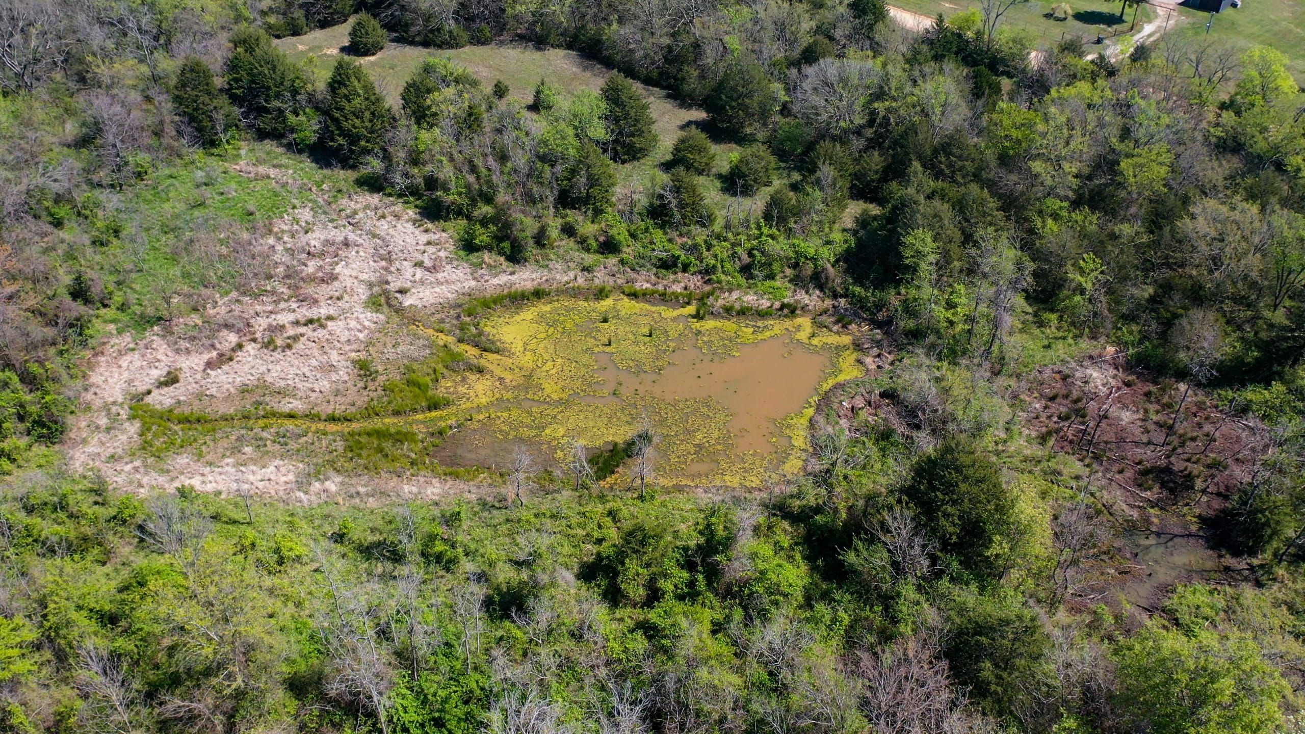 Moonrise Meadows Tract 24 photo 15