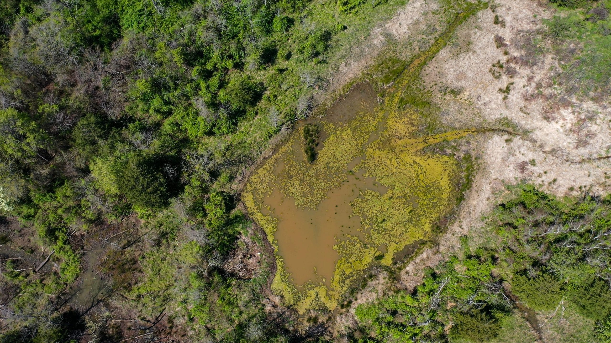 Moonrise Meadows Tract 24 photo 14