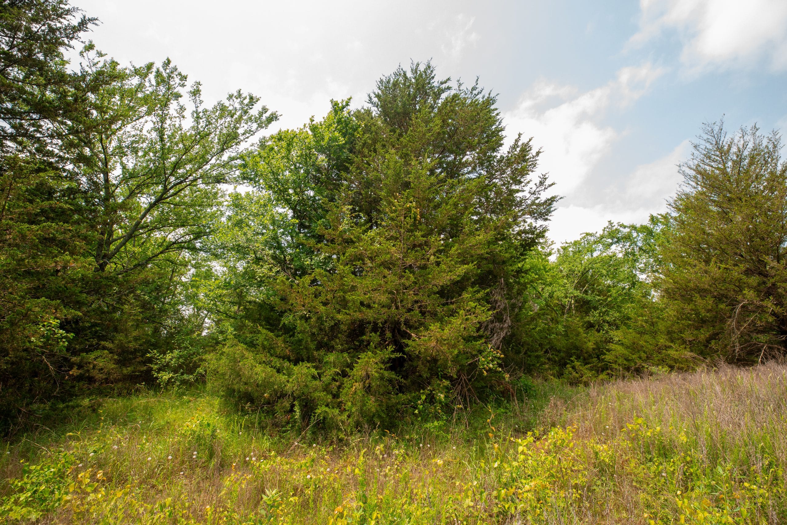 Moonrise Meadows Tract 24 photo 4