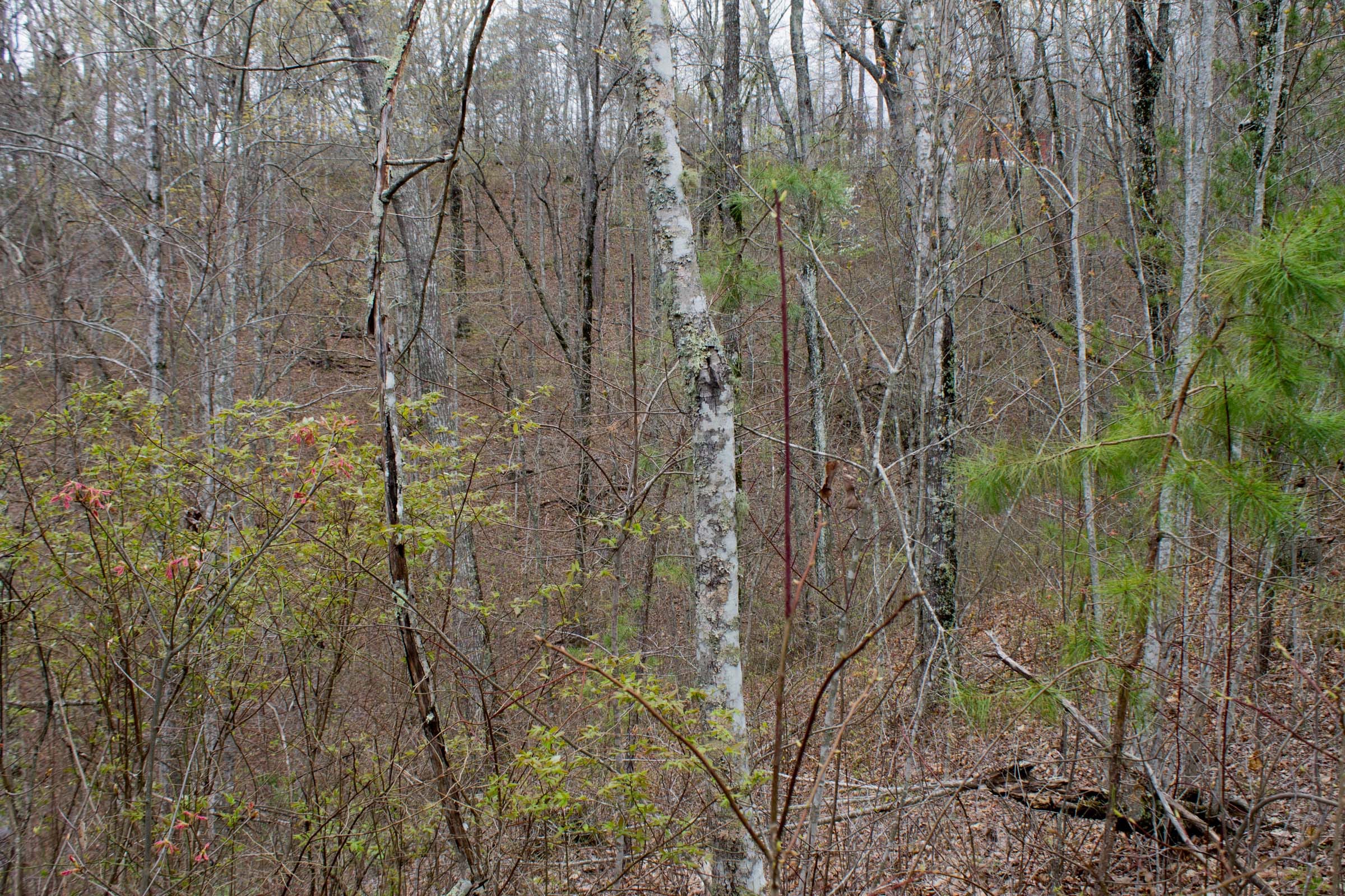 Hidden Hills Tract 11 photo 1
