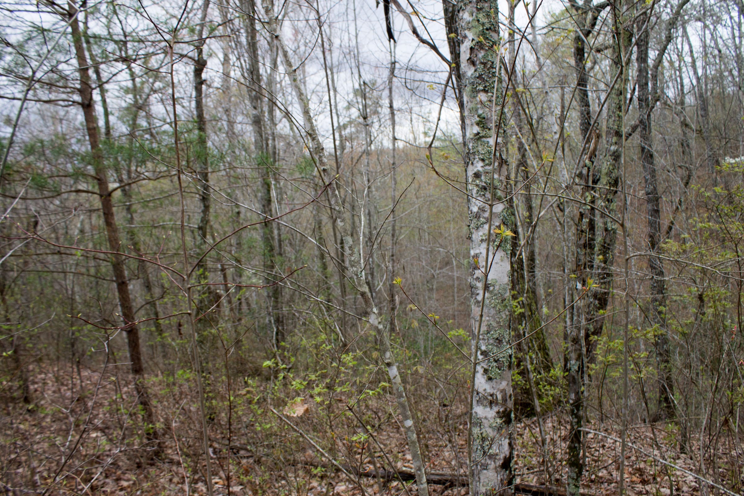Hidden Hills Tract 11 photo 2