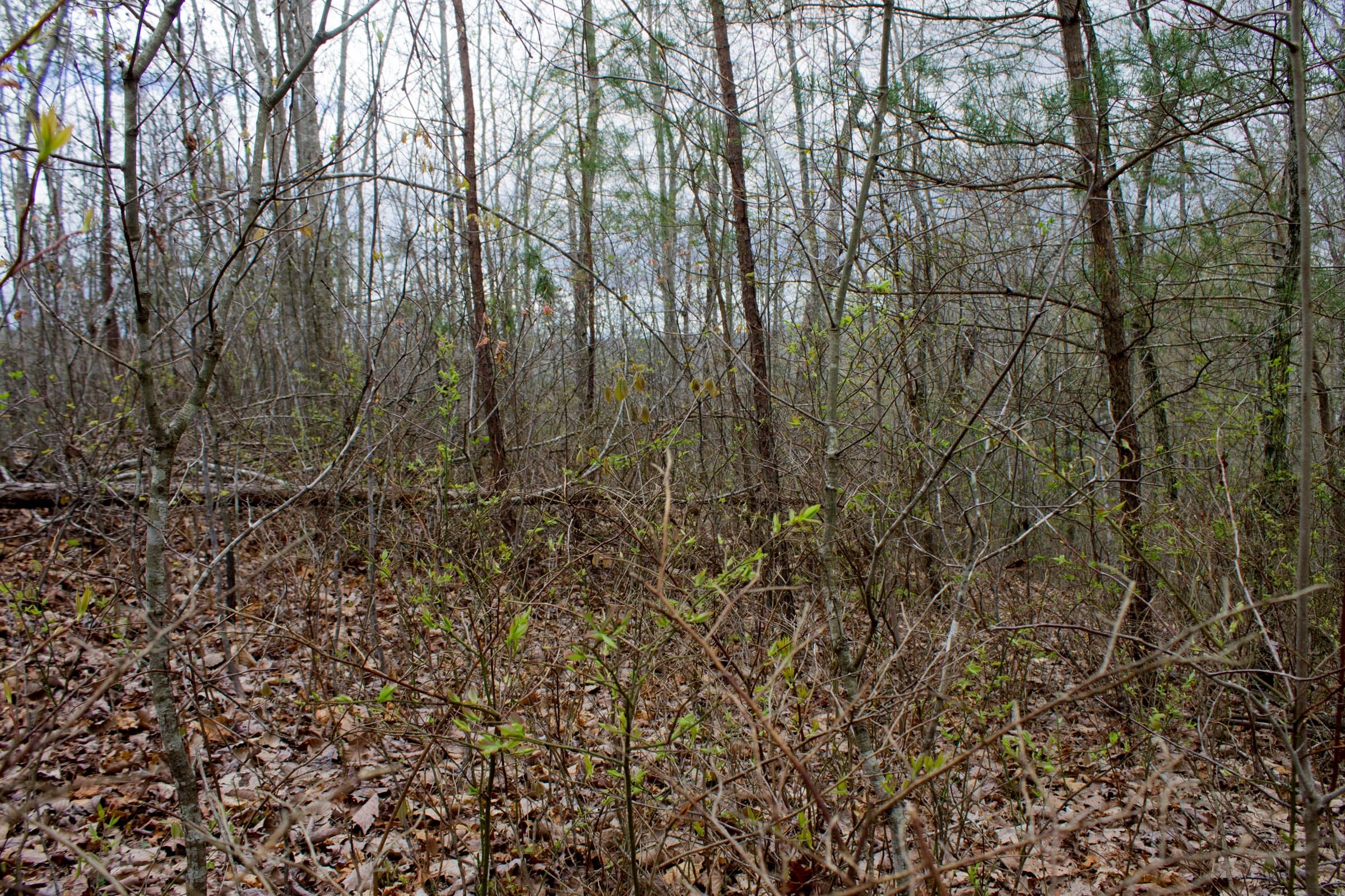 Hidden Hills Tract 11 photo 3