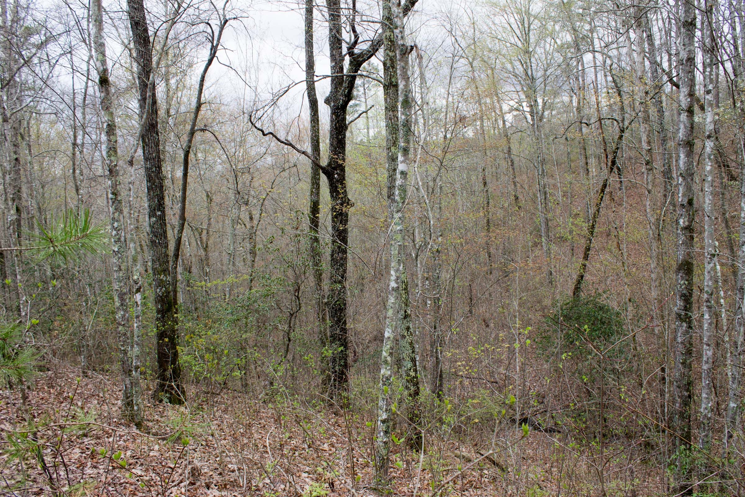 Hidden Hills Tract 11 photo 4