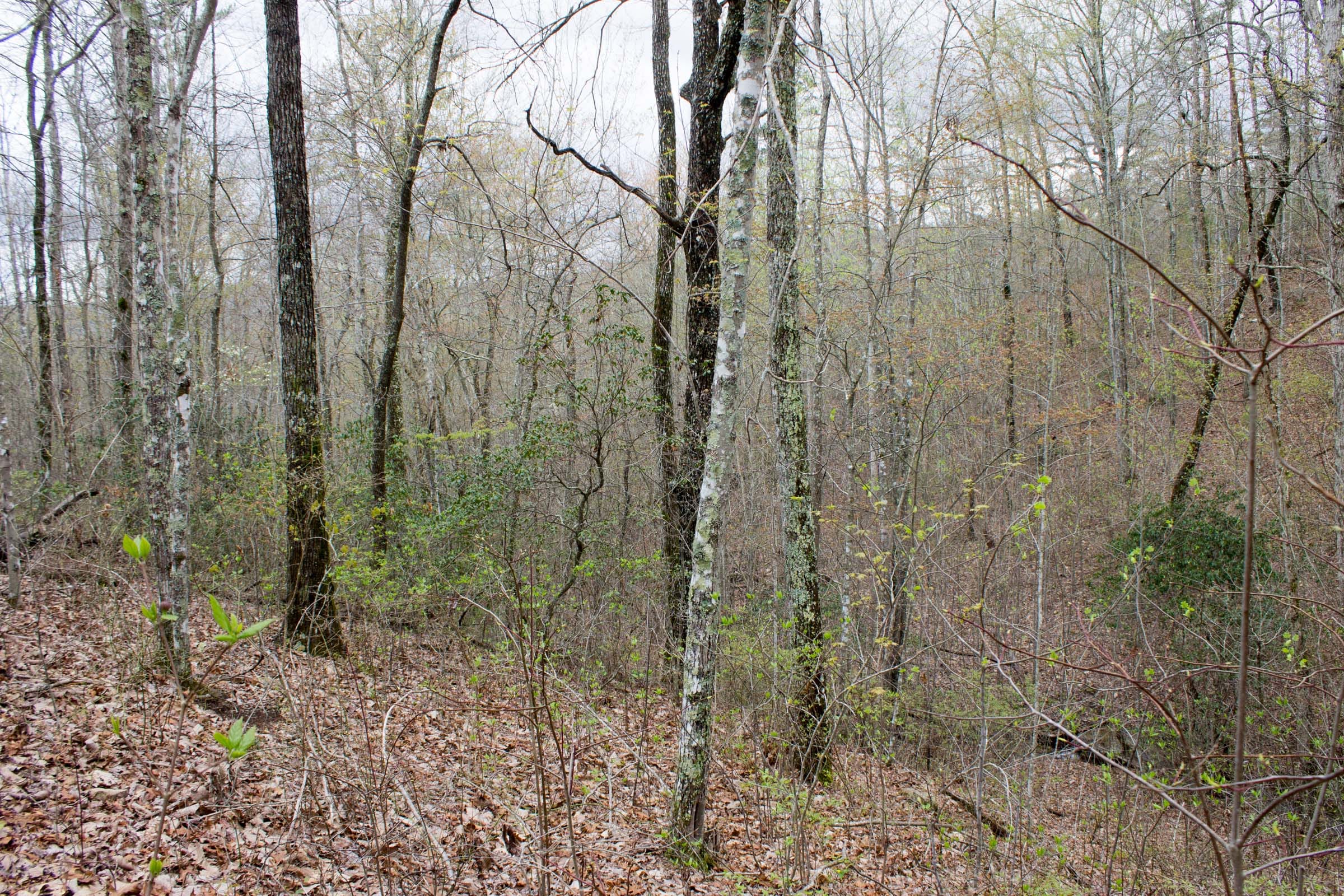 Hidden Hills Tract 11 photo 5