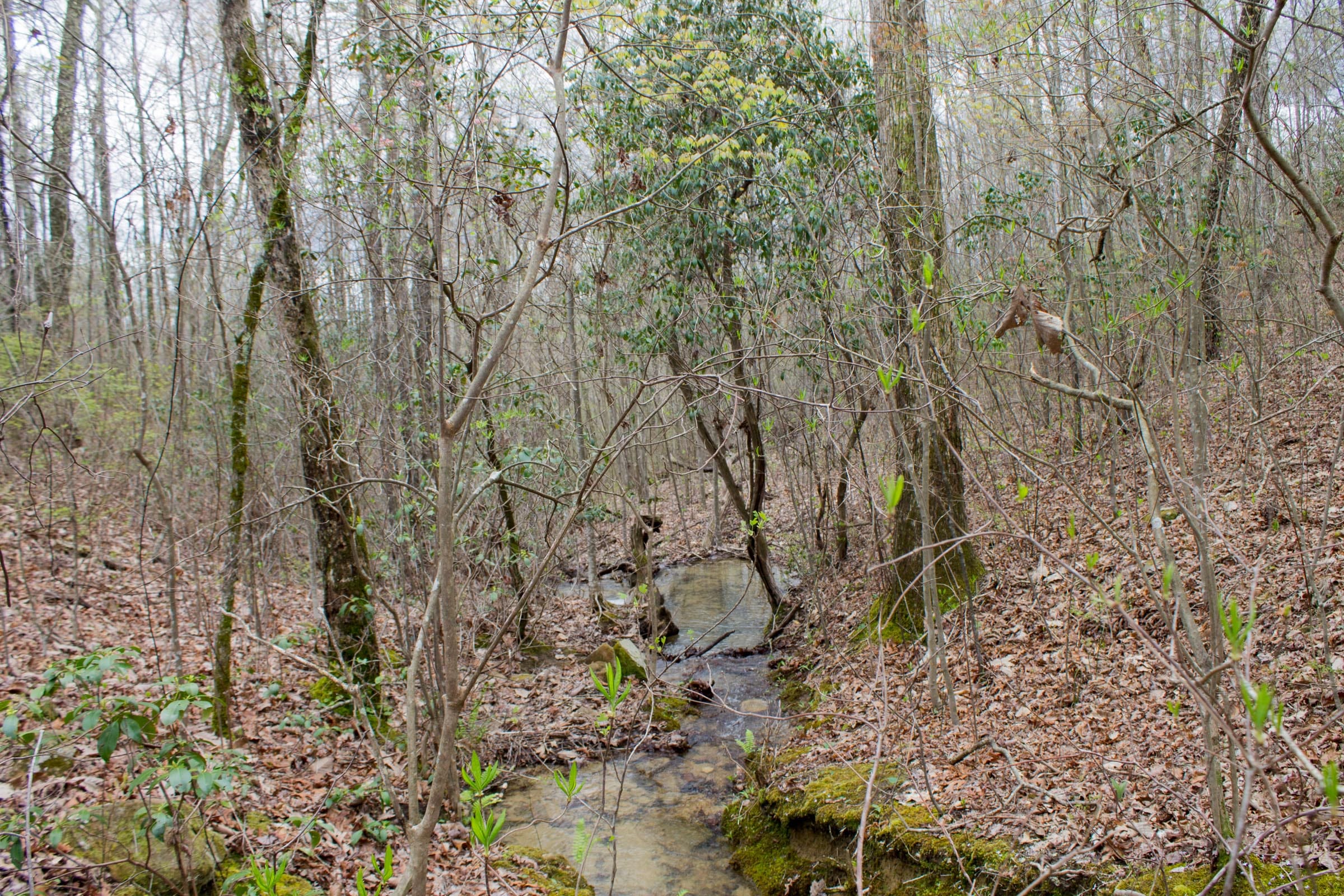 Hidden Hills Tract 11 photo 8