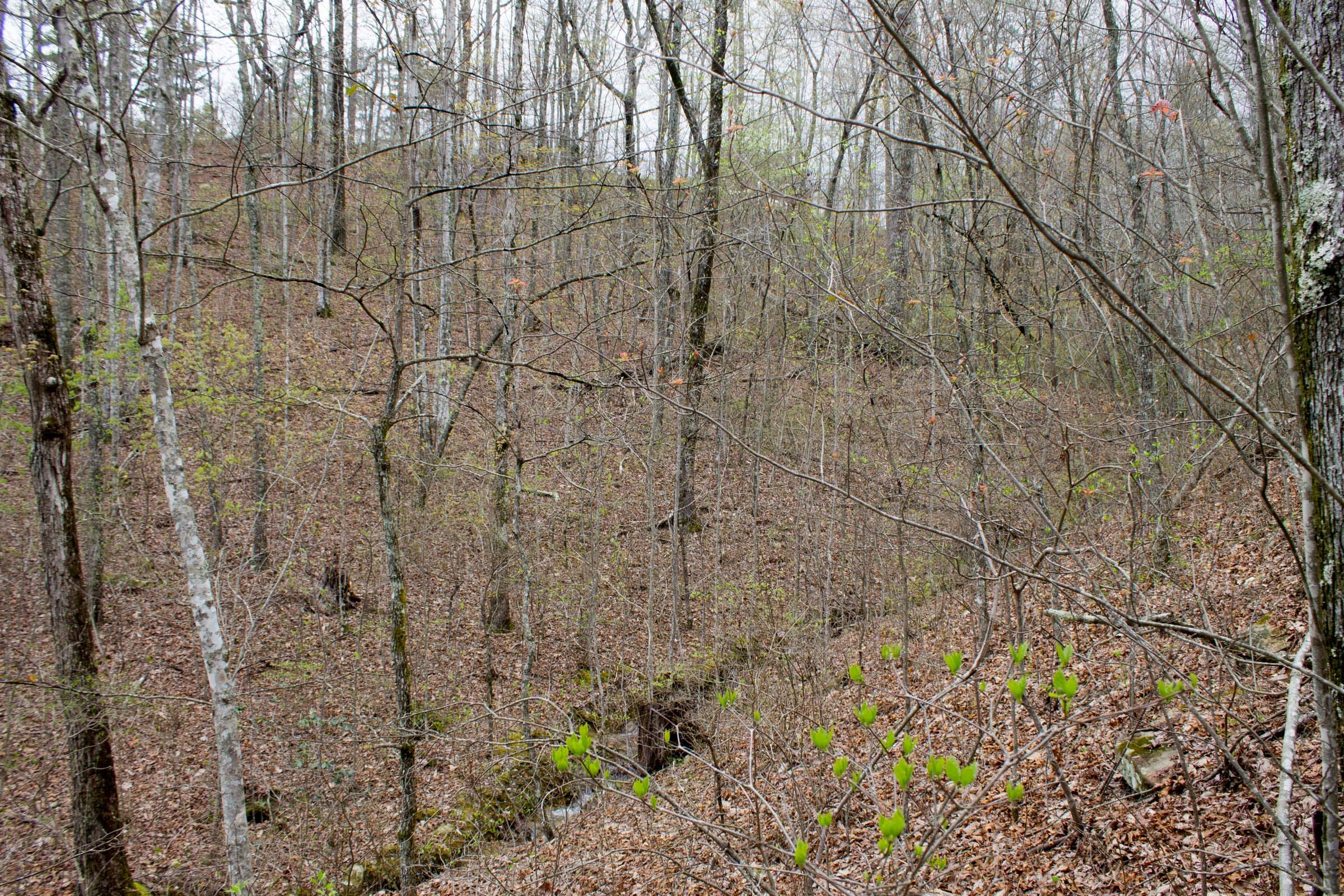 Hidden Hills Tract 11 photo 10