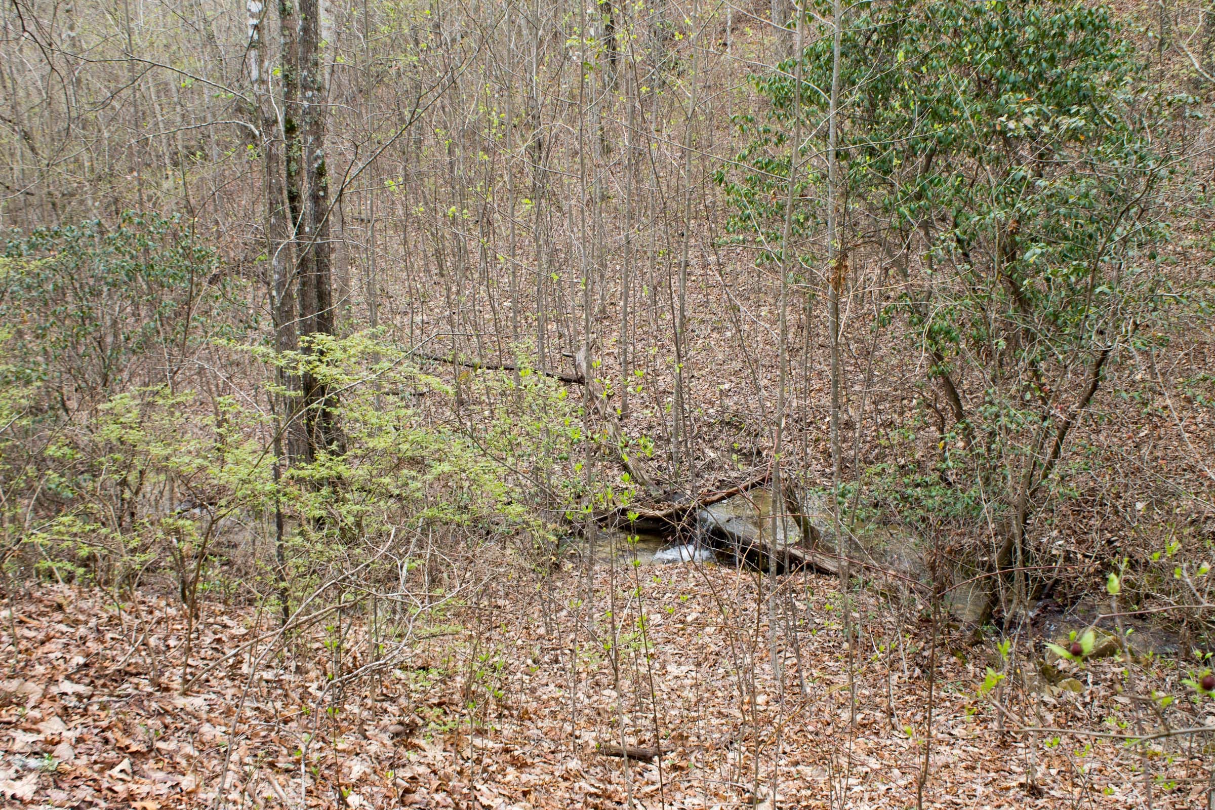 Hidden Hills Tract 11 photo 11