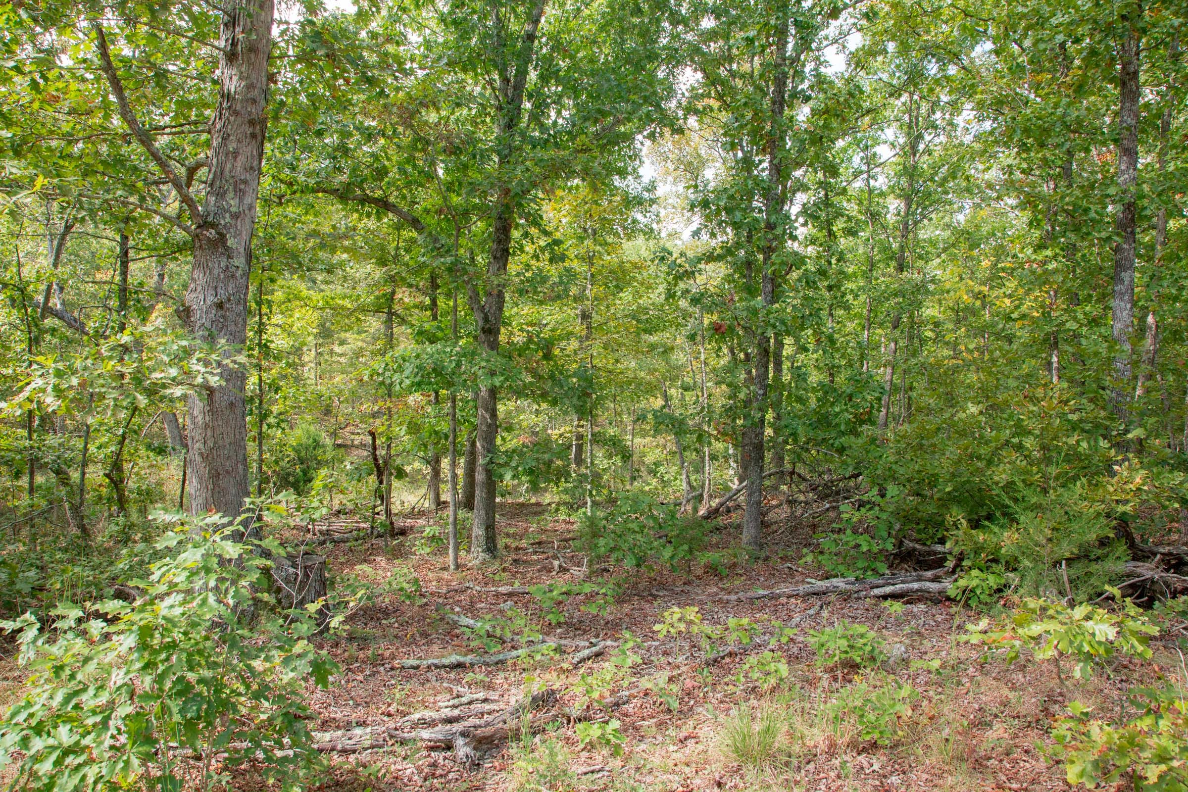 Wagon Wheel Ranch Tract 44 photo 3