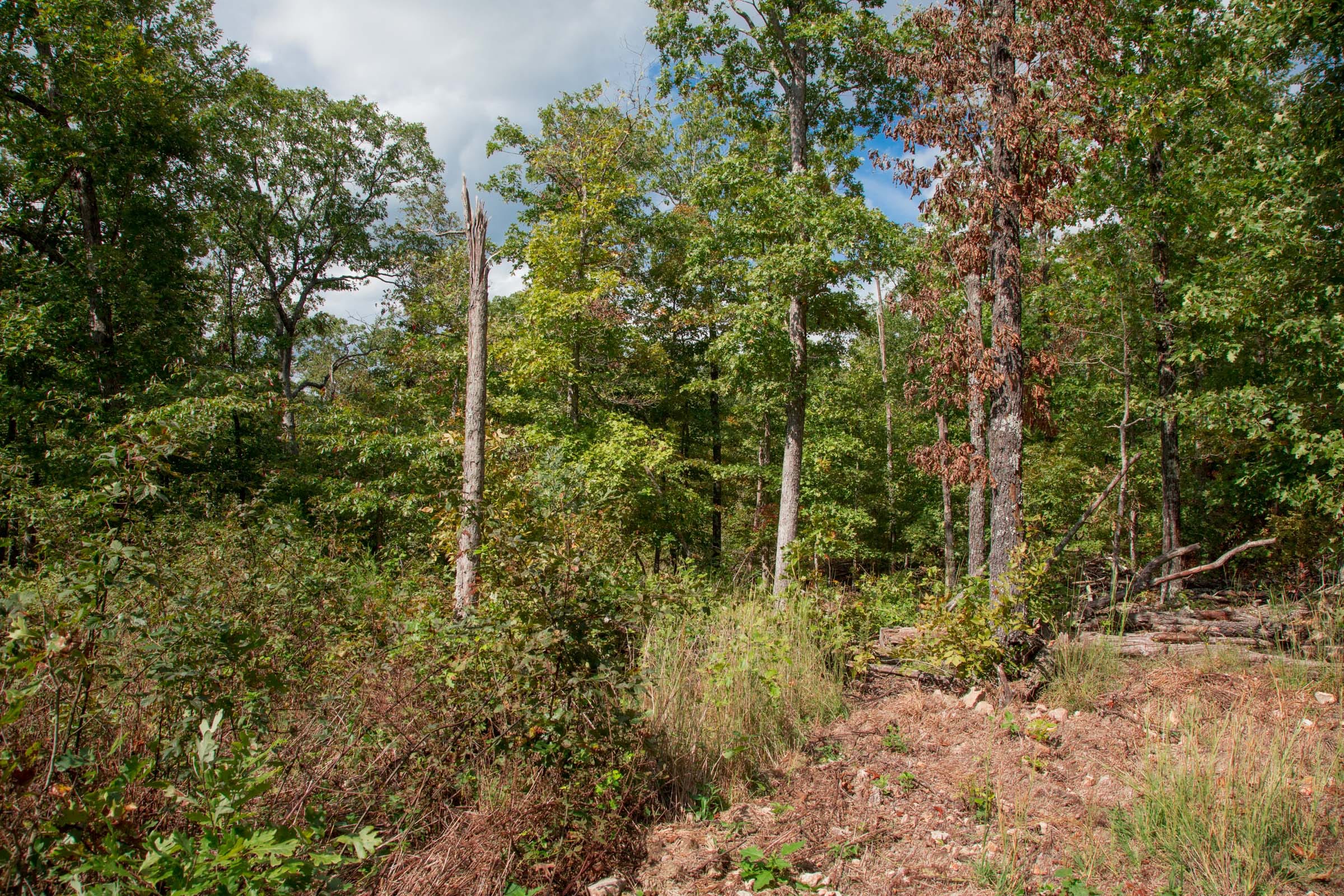Wagon Wheel Ranch Tract 44 photo 4