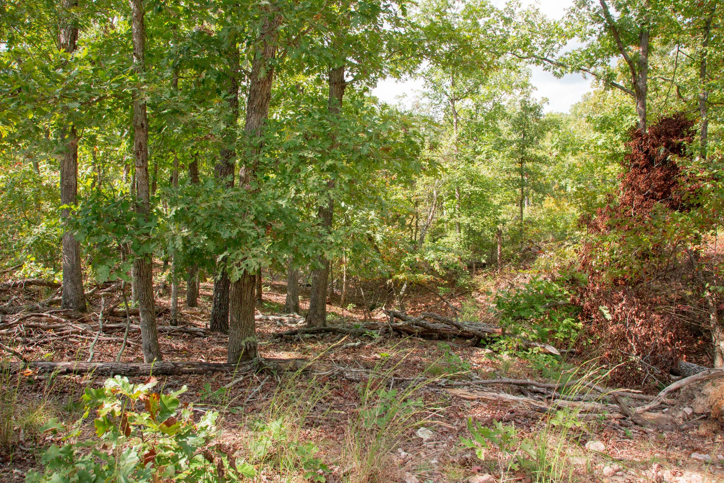 Wagon Wheel Ranch Tract 44 photo 5