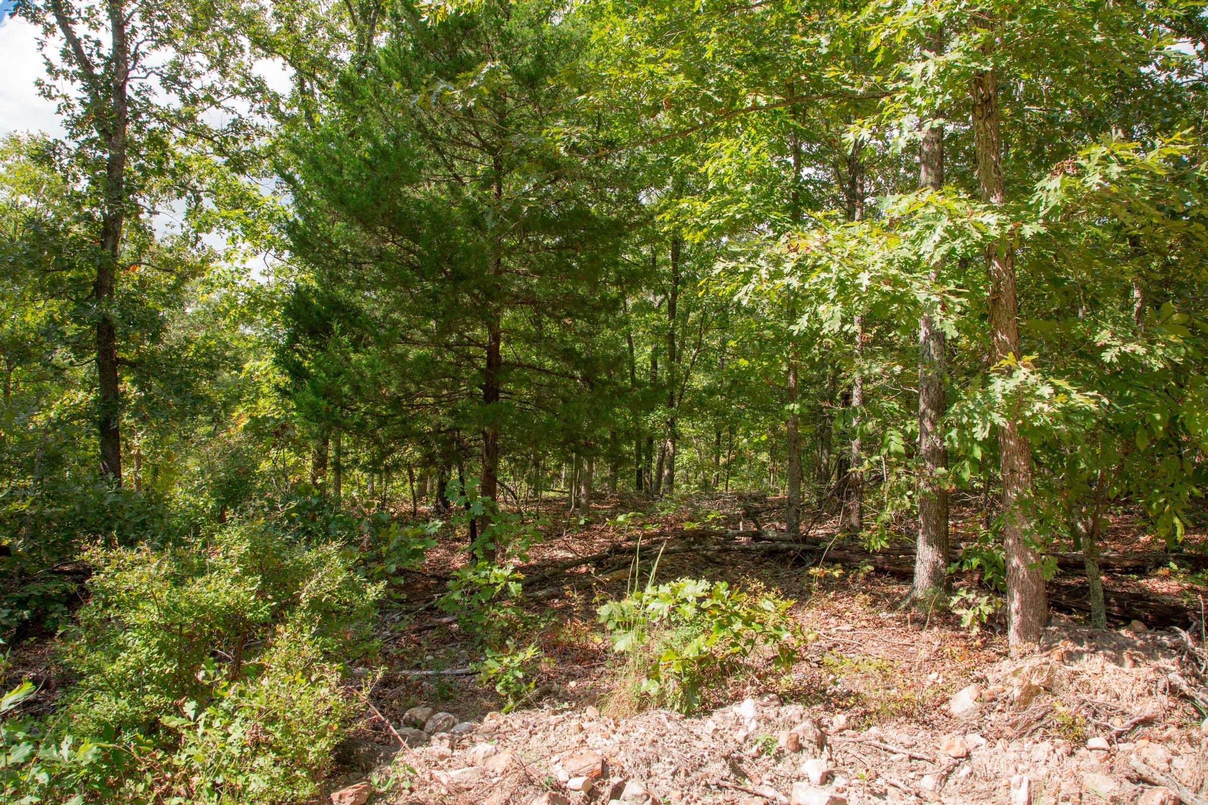 Wagon Wheel Ranch Tract 44 photo 7