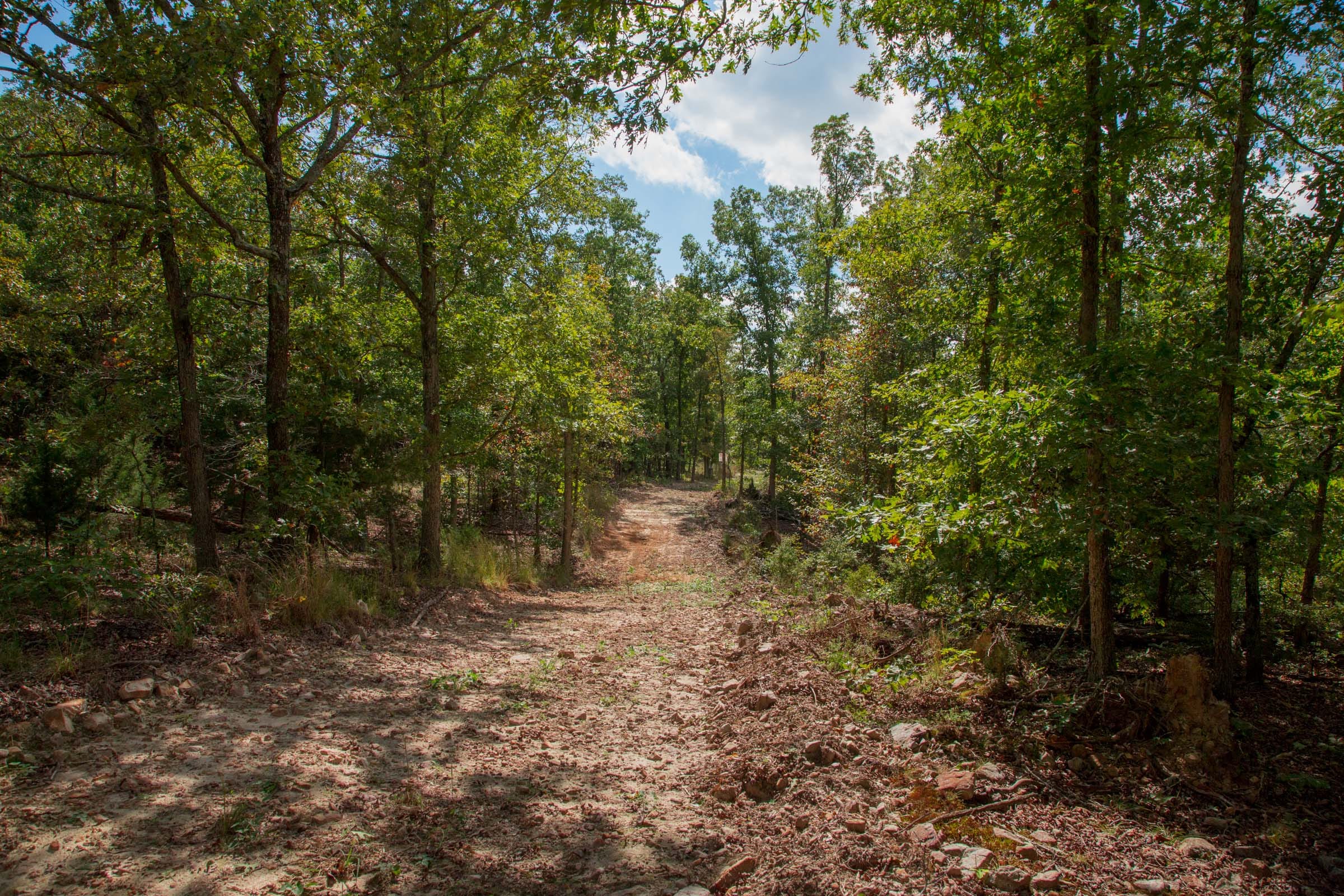 Wagon Wheel Ranch Tract 44 photo 8