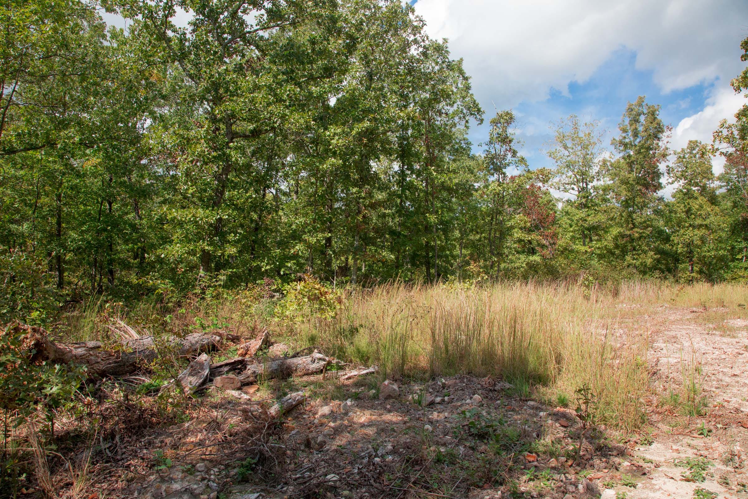 Wagon Wheel Ranch Tract 44 photo 9