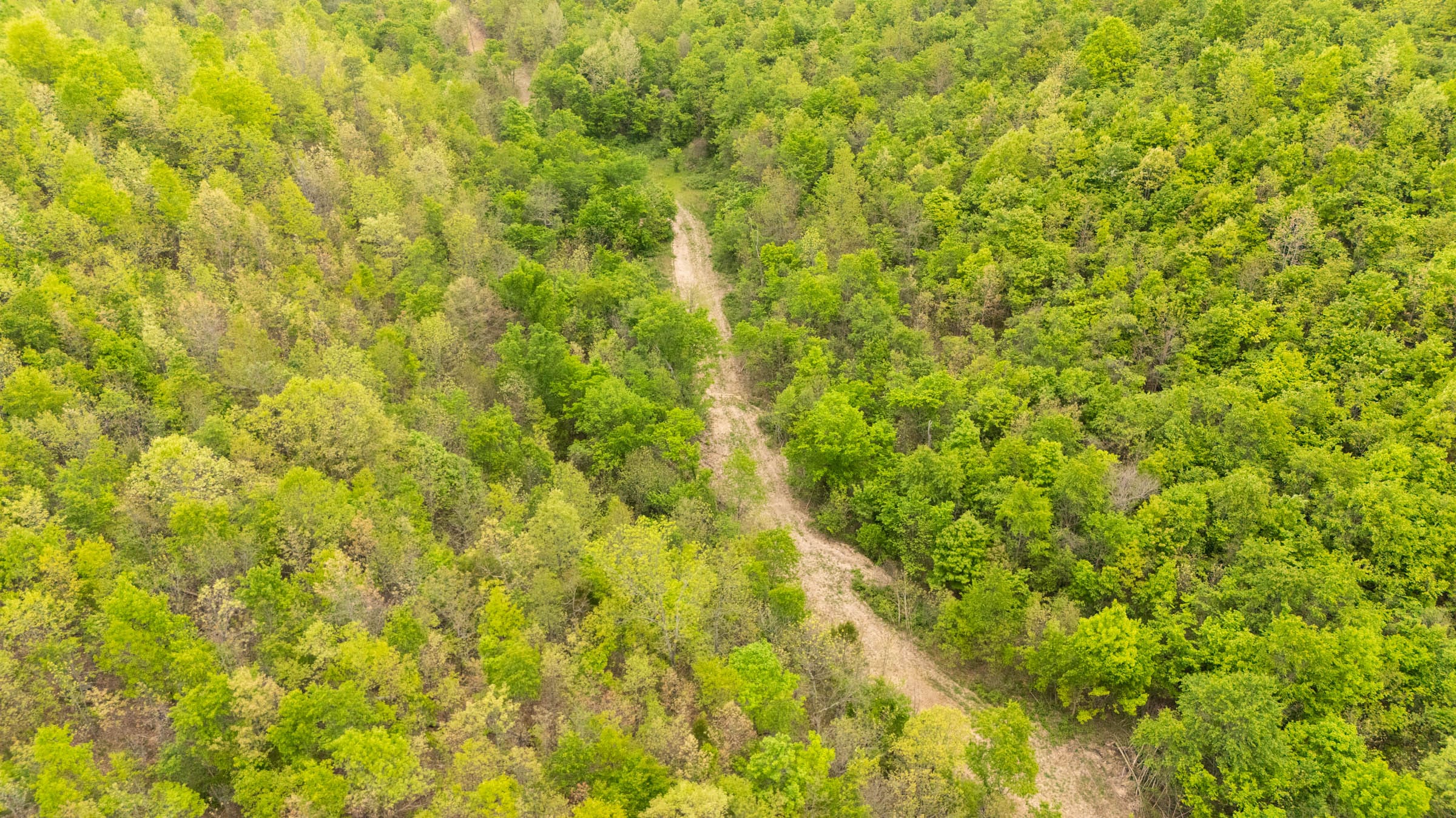 Double S Ranch Tract 6 photo 1