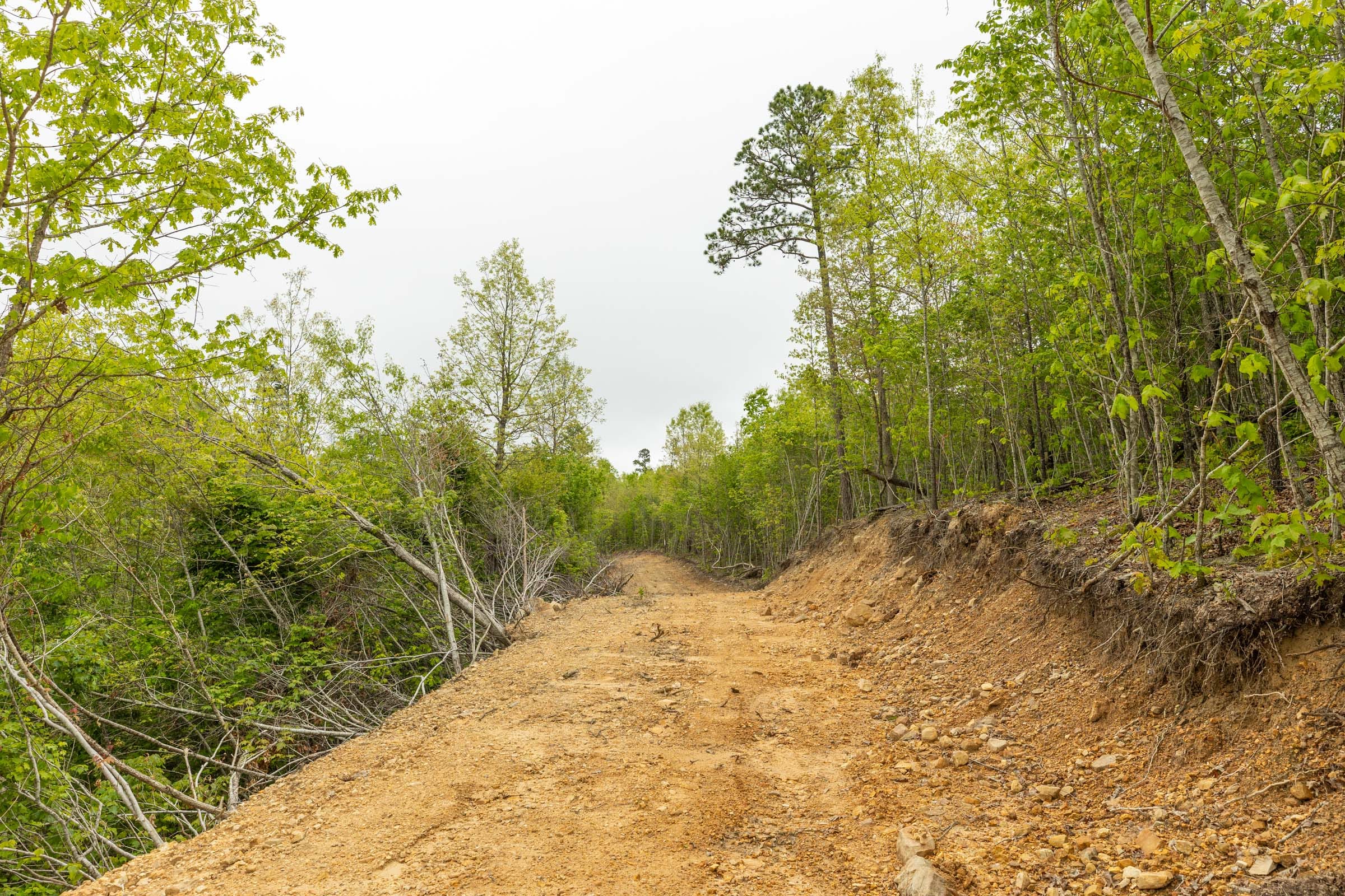 Double S Ranch Tract 6 photo 10