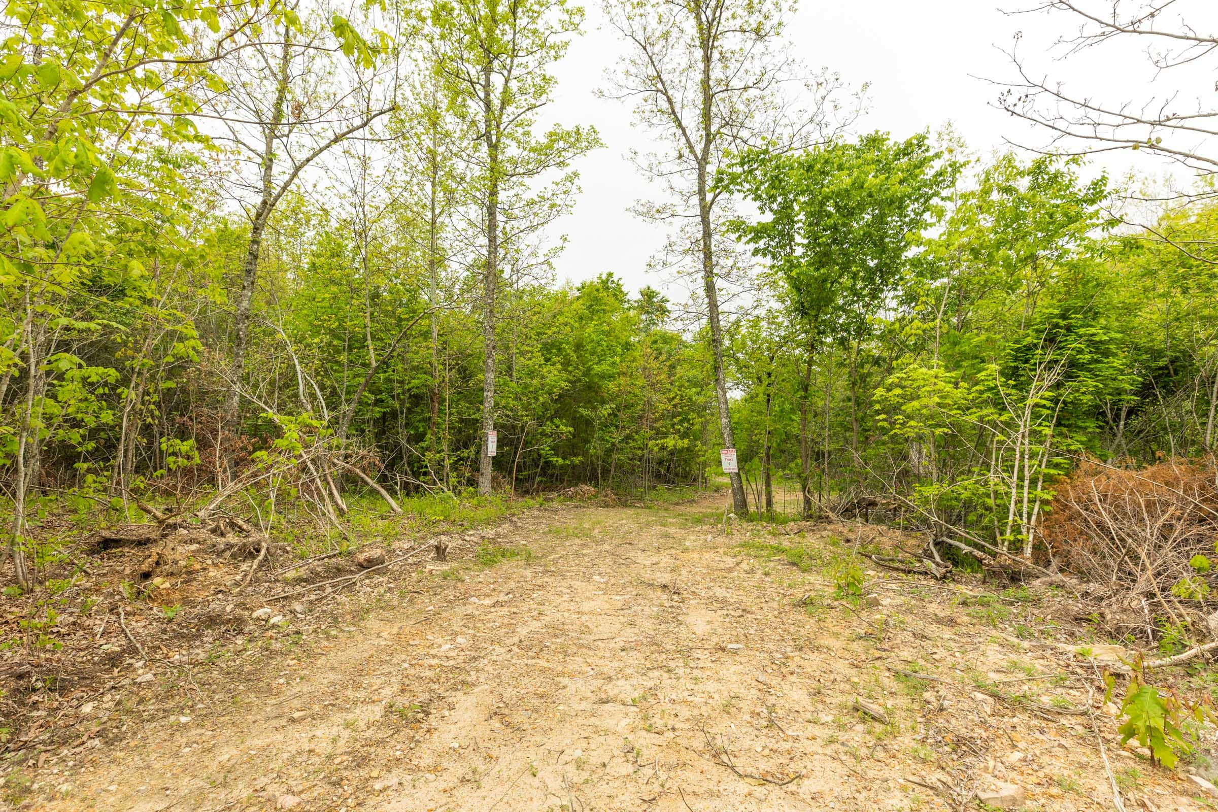 Double S Ranch Tract 6 photo 13