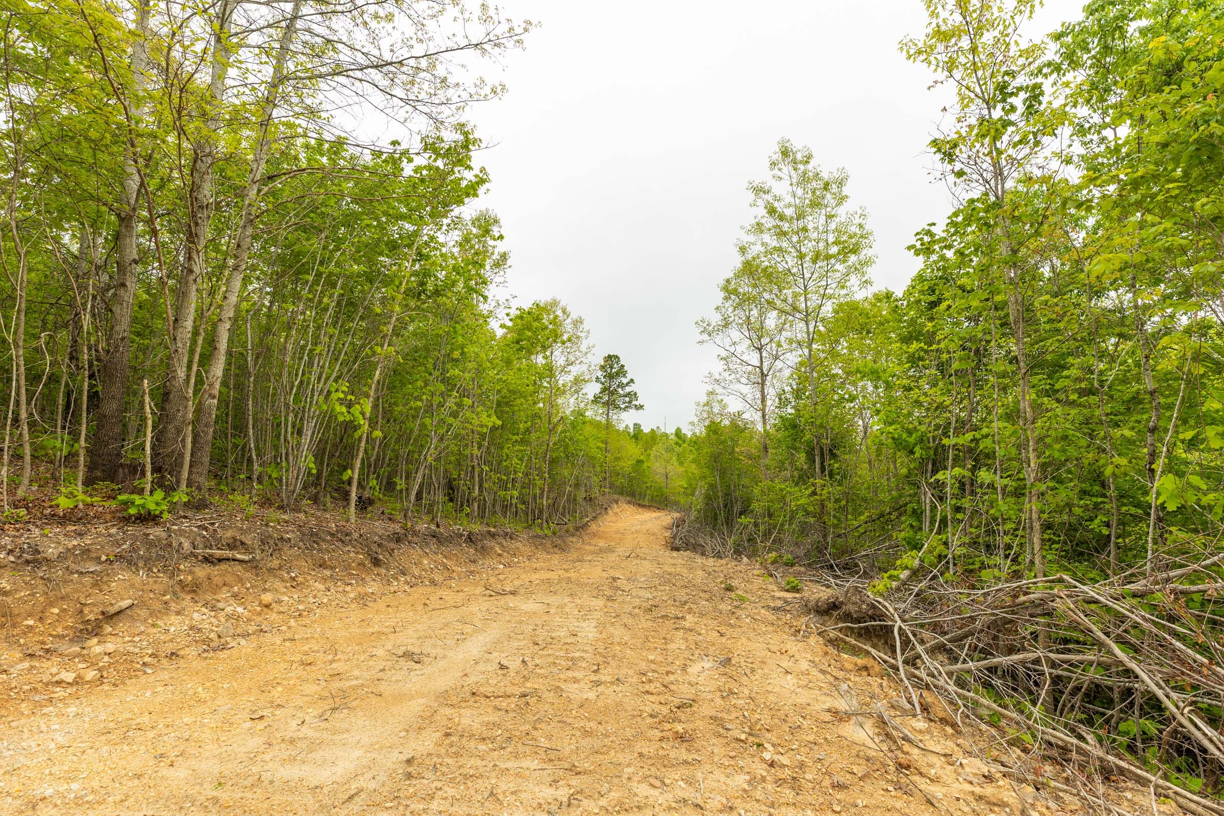 Double S Ranch Tract 6 photo 6