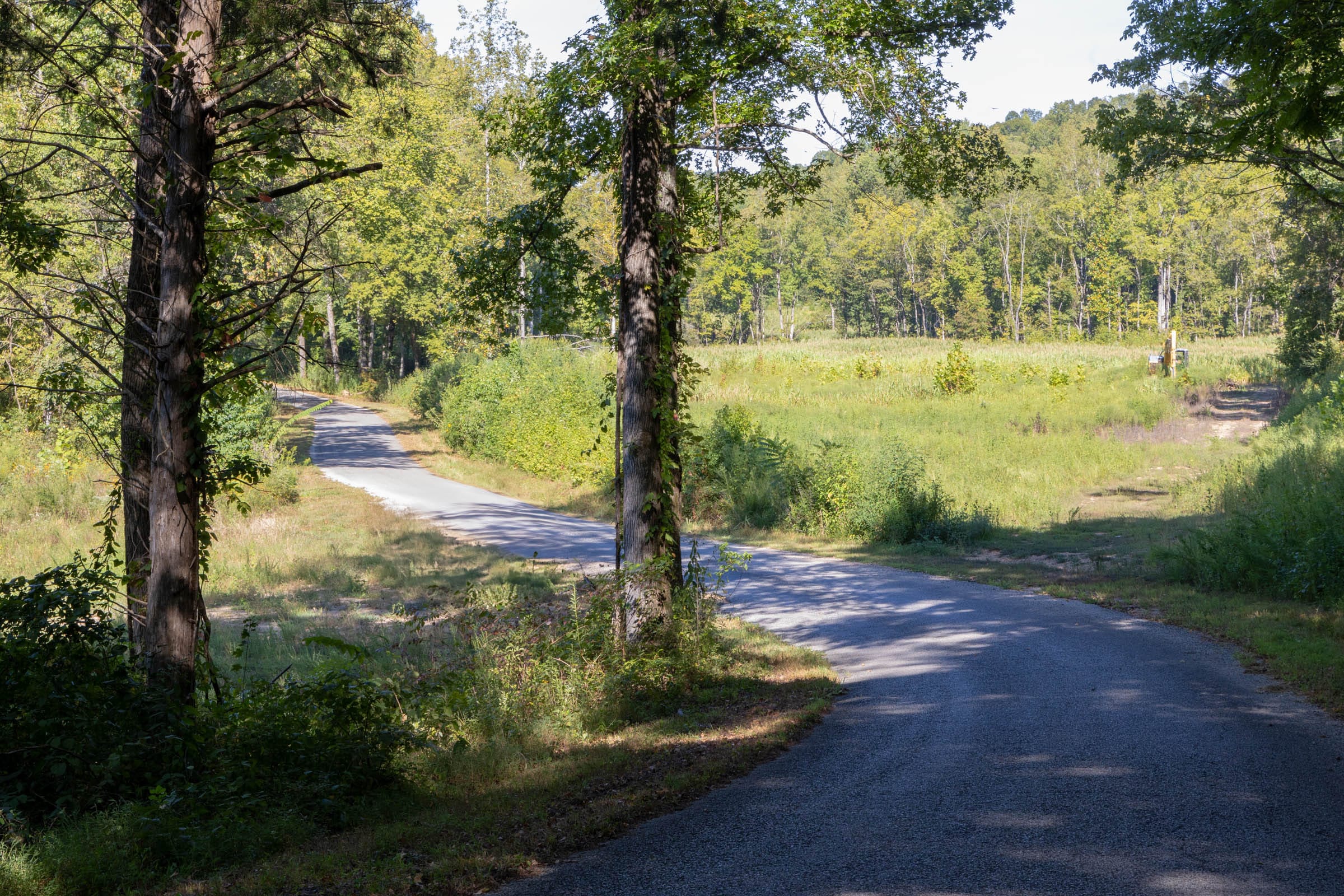 Big White Oak Tract 14 photo 3