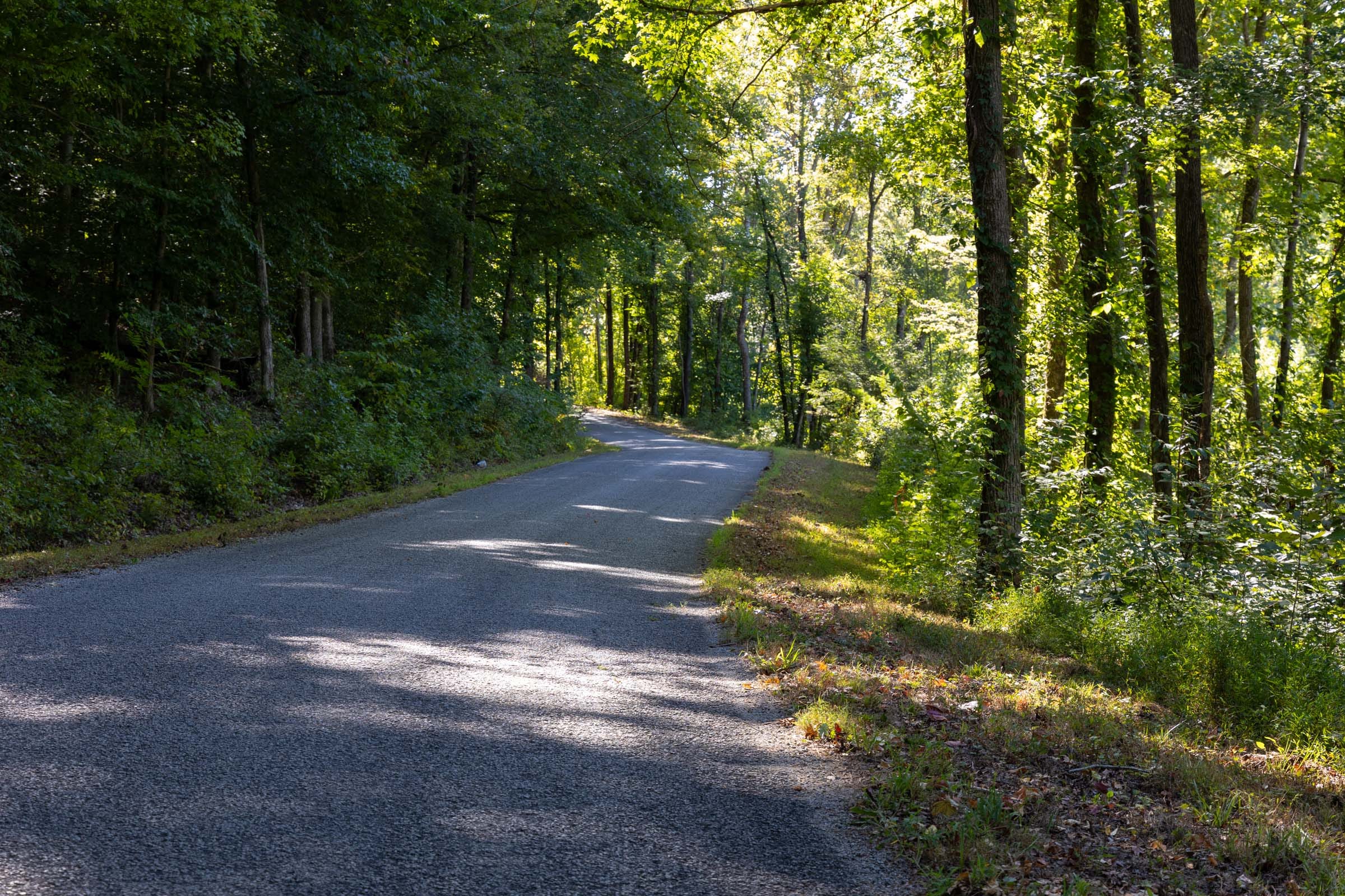 Big White Oak Tract 14 photo 1