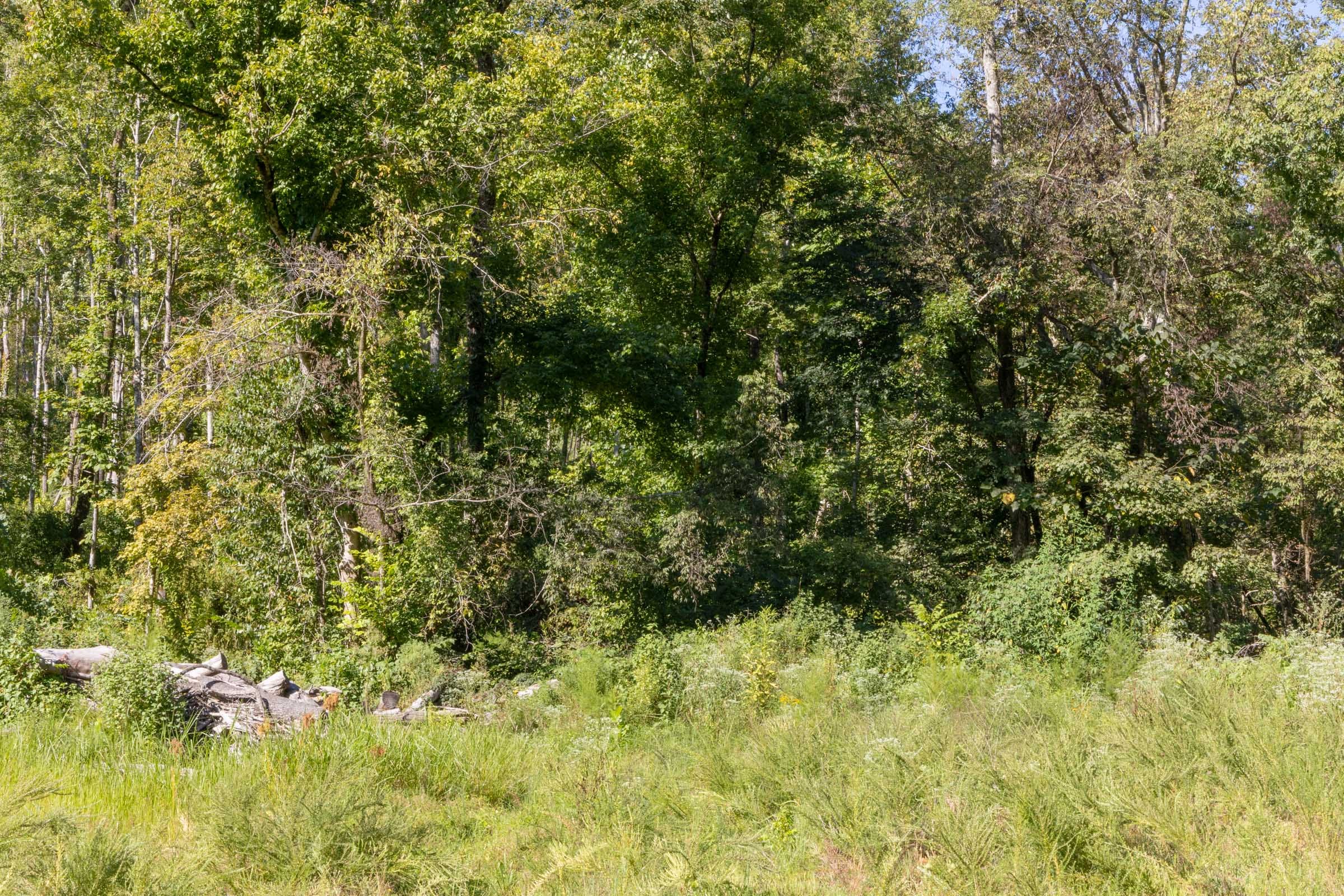 Big White Oak Tract 14 photo 6