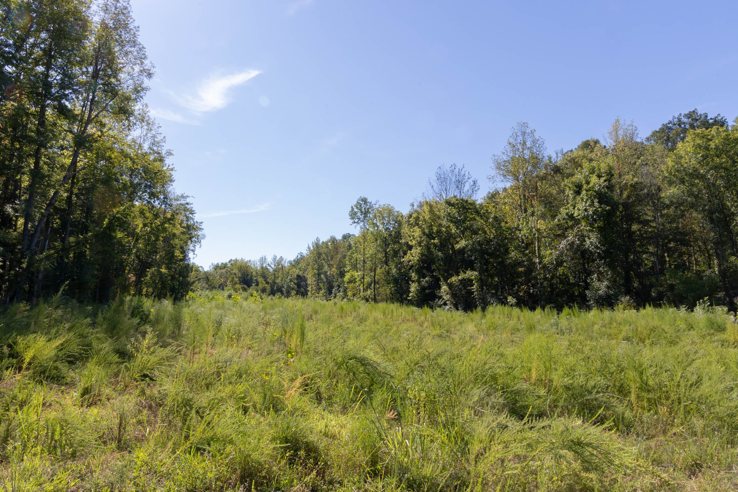 Big White Oak Tract 14 photo 5