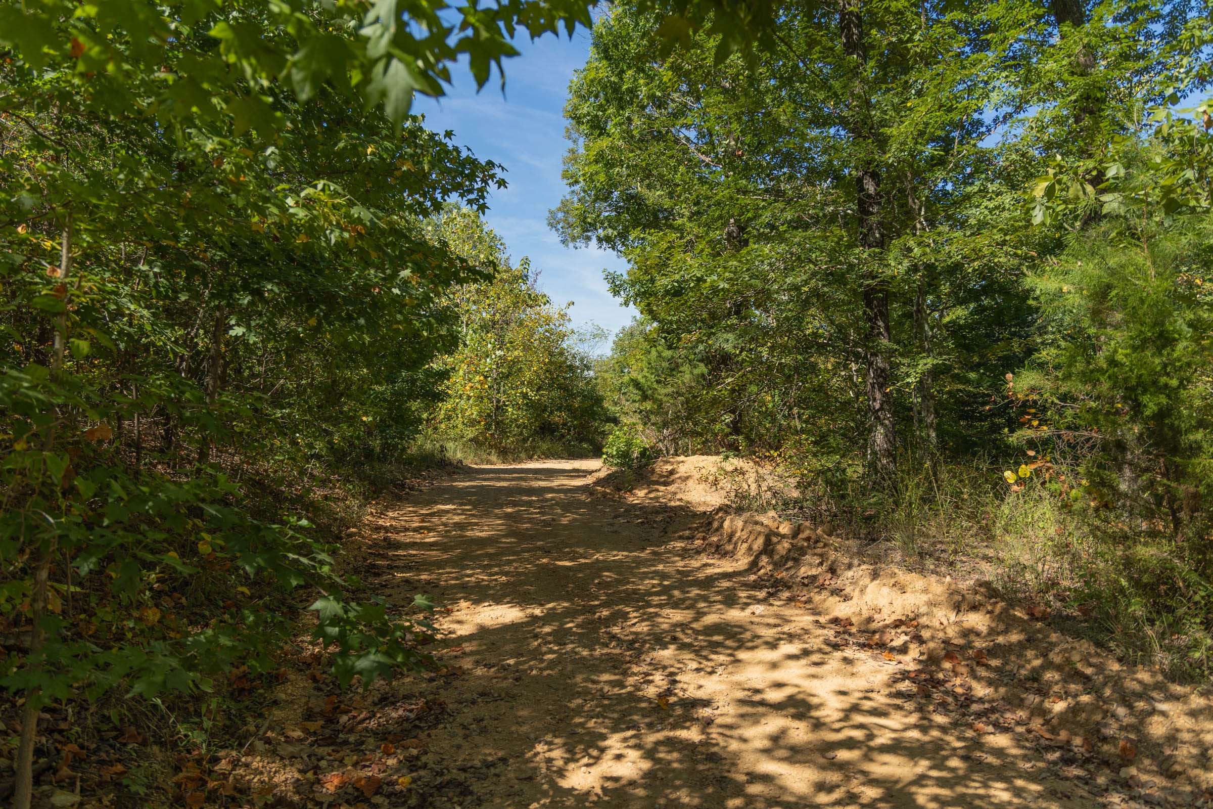Big White Oak Tract 14 photo 7