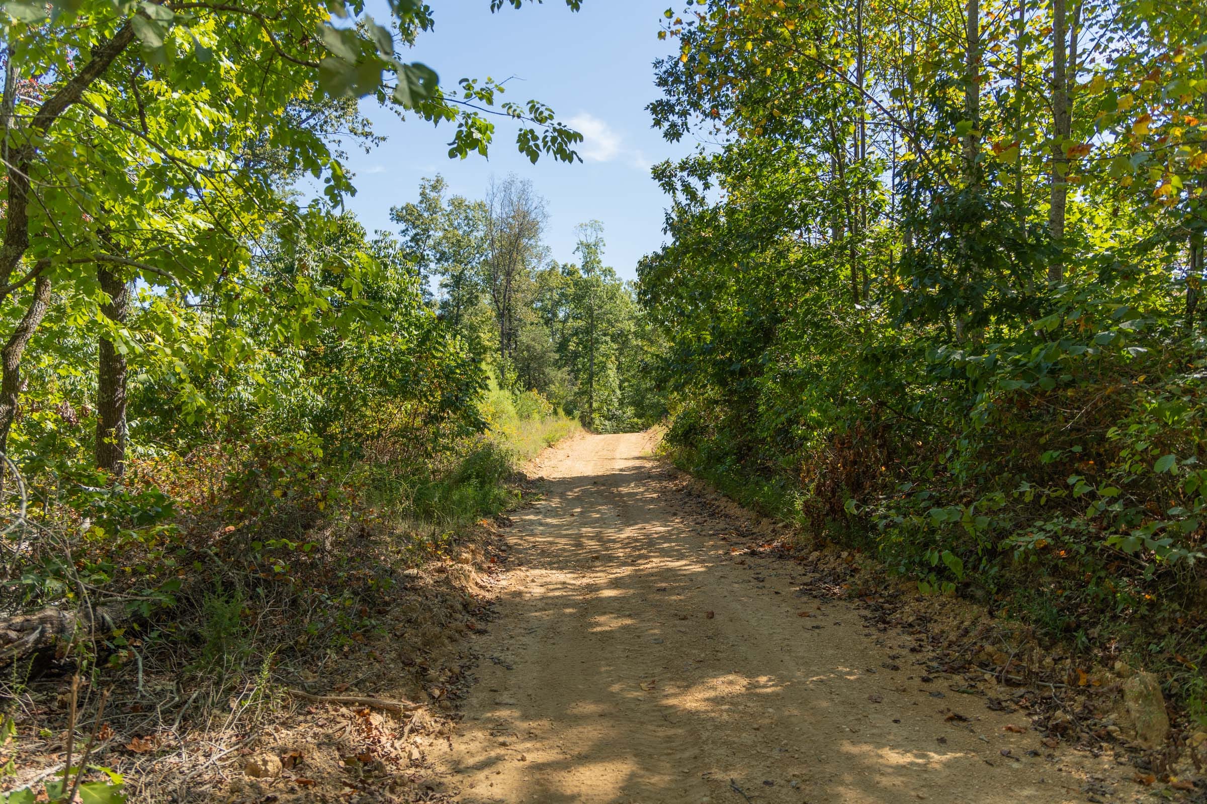 Big White Oak Tract 14 photo 10