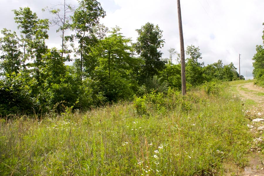 Thunder Mountain Ranch Tract 58 photo 1