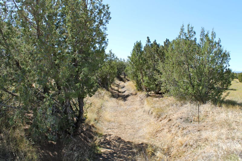 Black Diamond Park Tract 17 photo 2