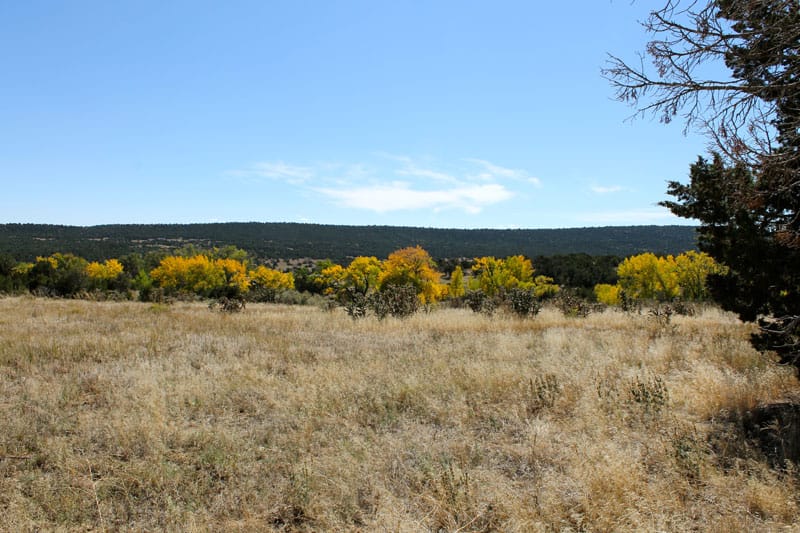 Black Diamond Park Tract 17 photo 4