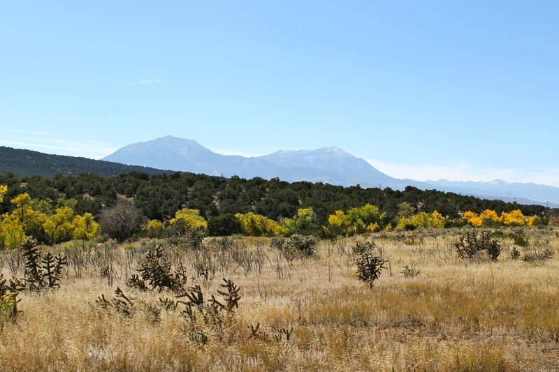 Black Diamond Park Tract 17 photo 5